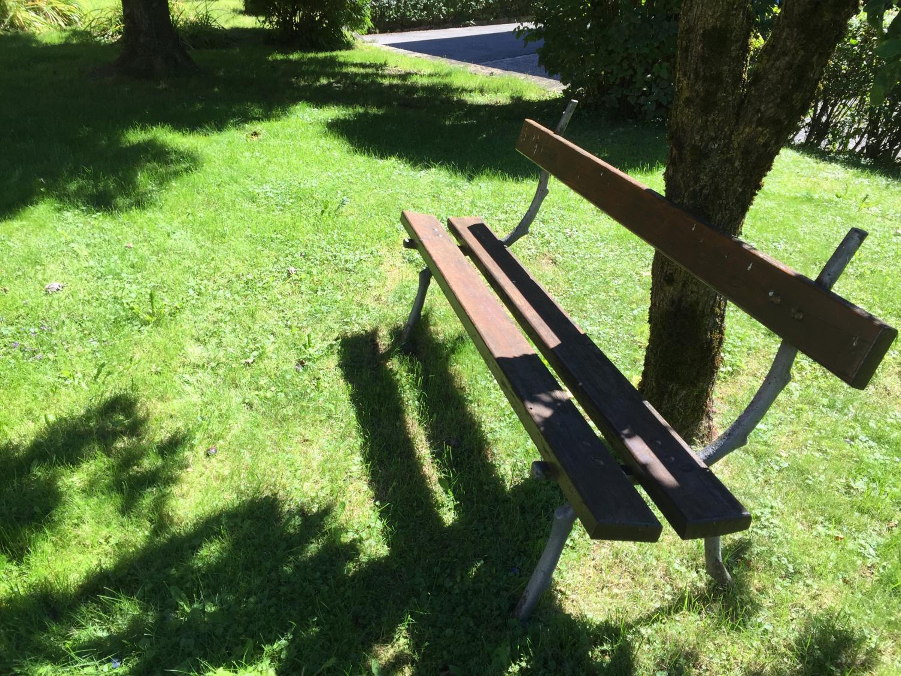 Photo 12