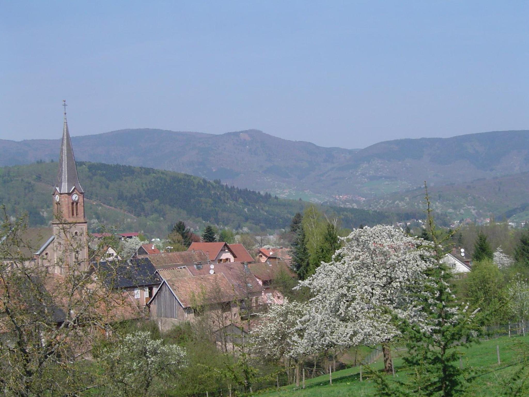 Photo 29