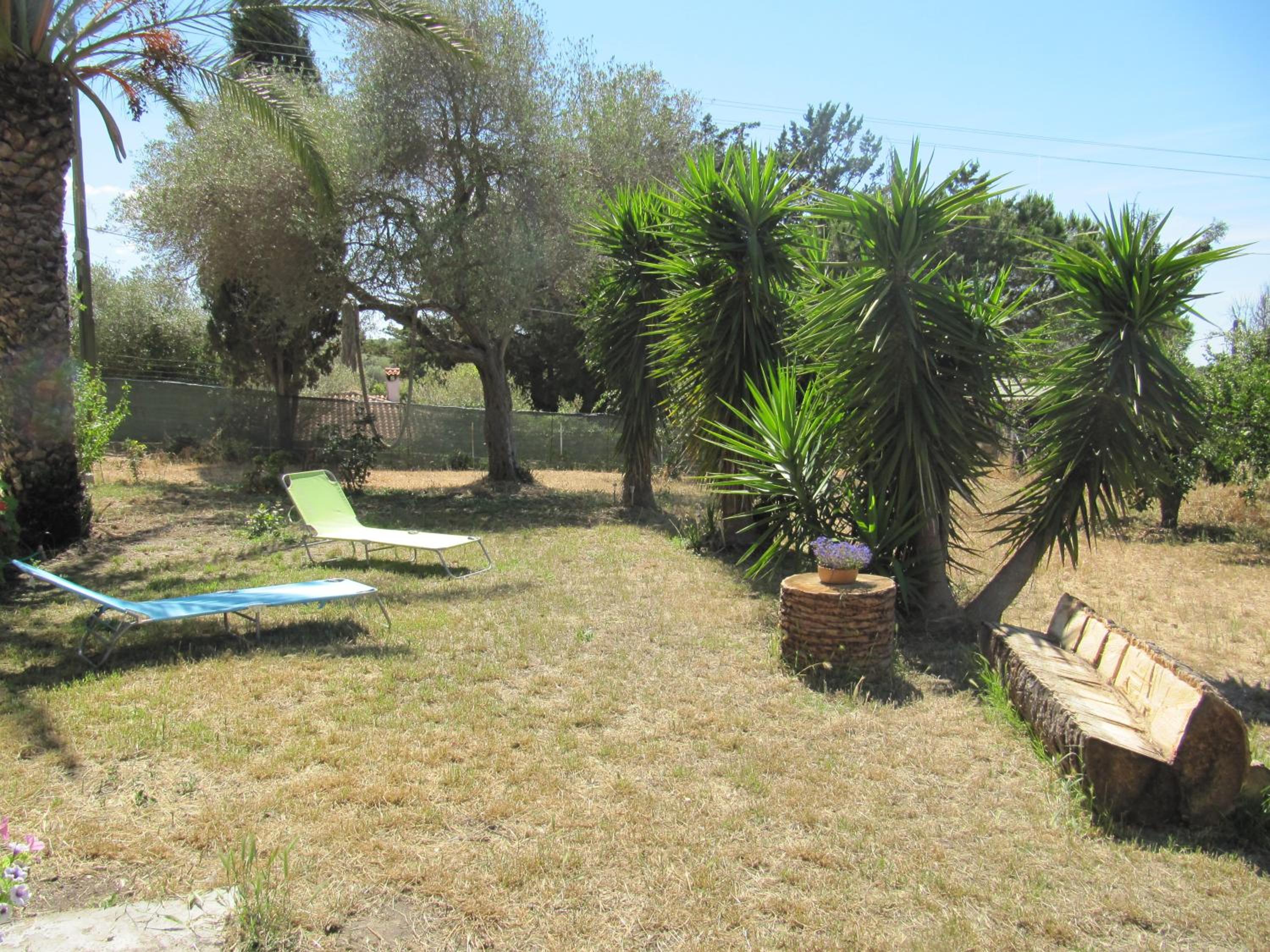 Photo 26