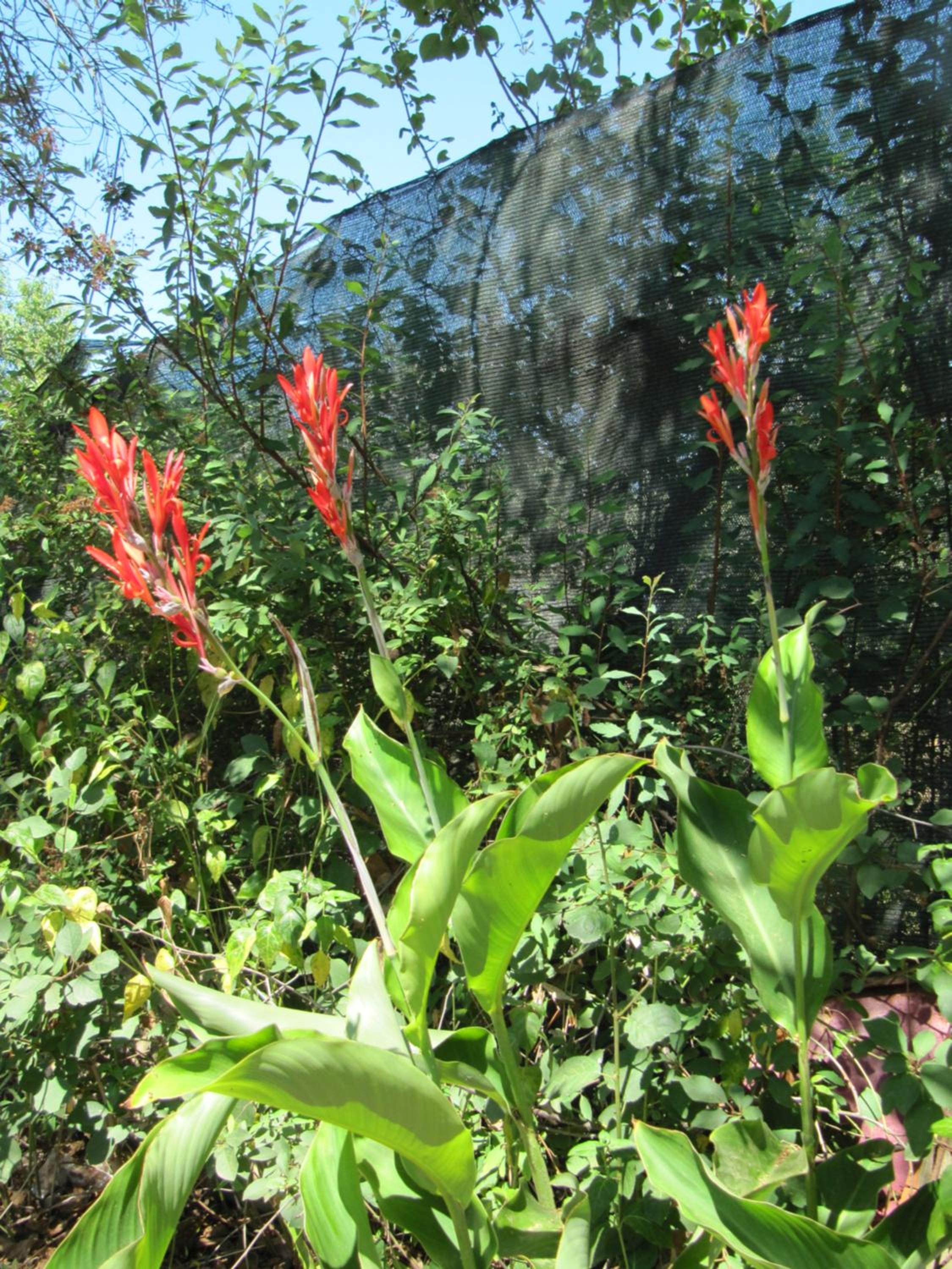 Photo 27