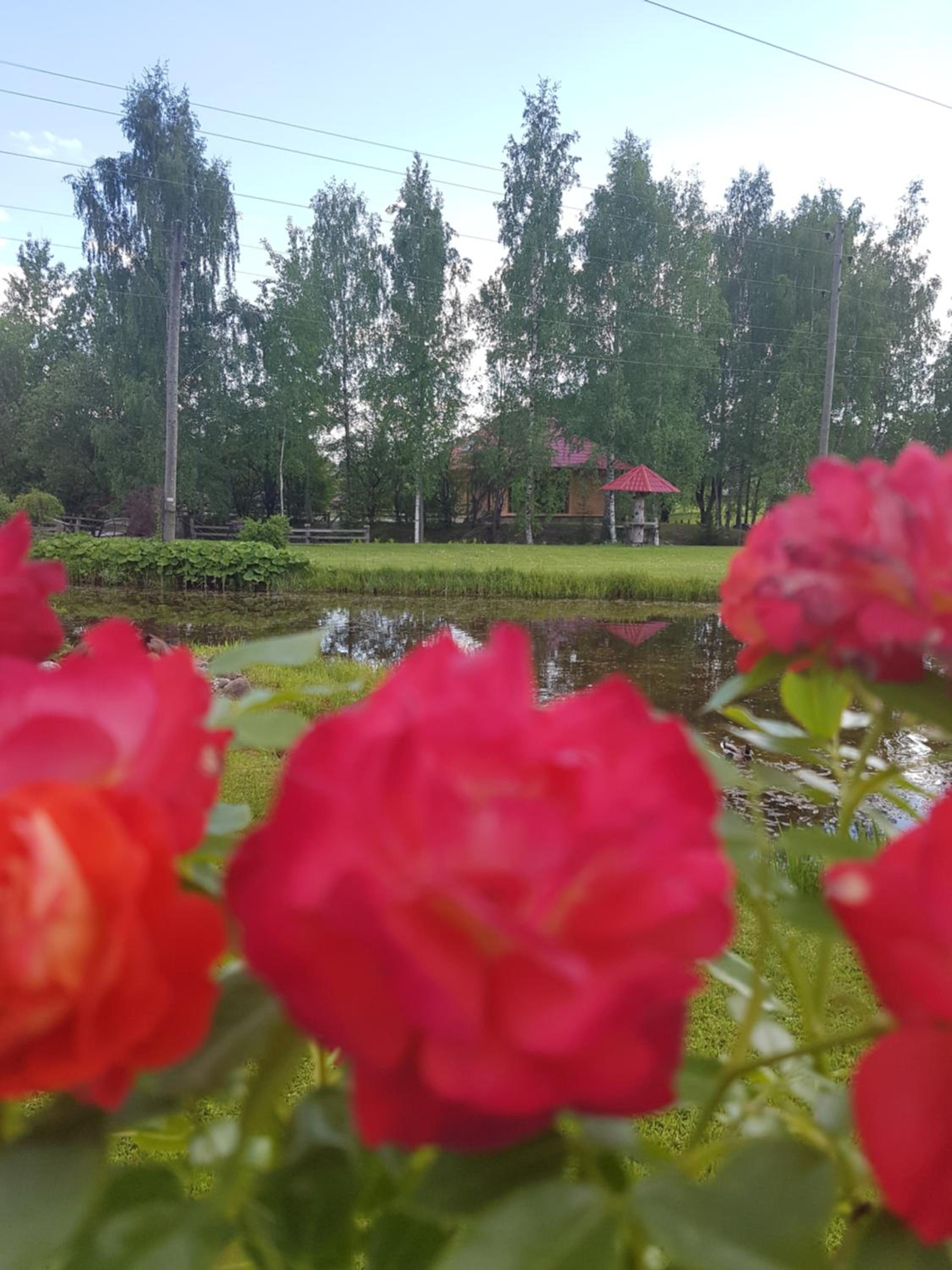 Photo 32