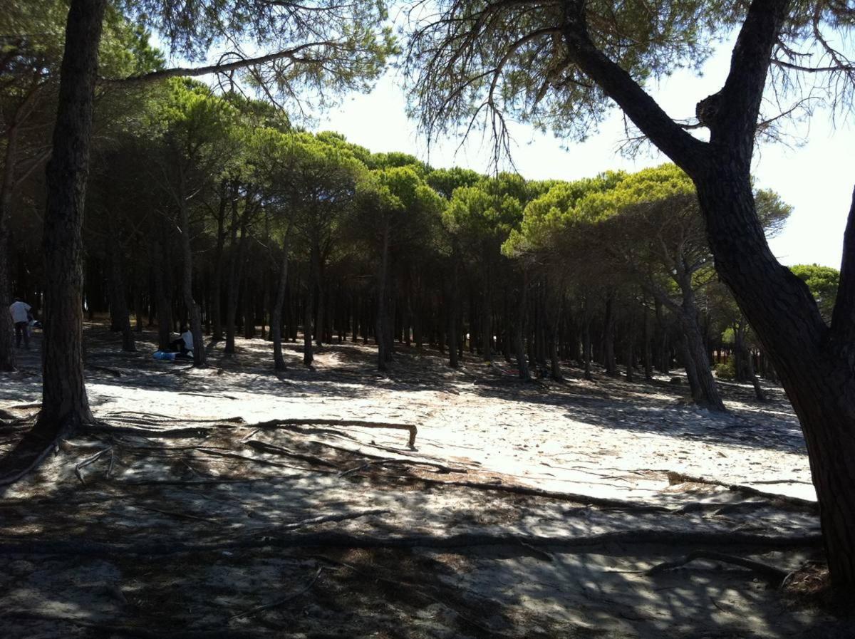 Photo 46