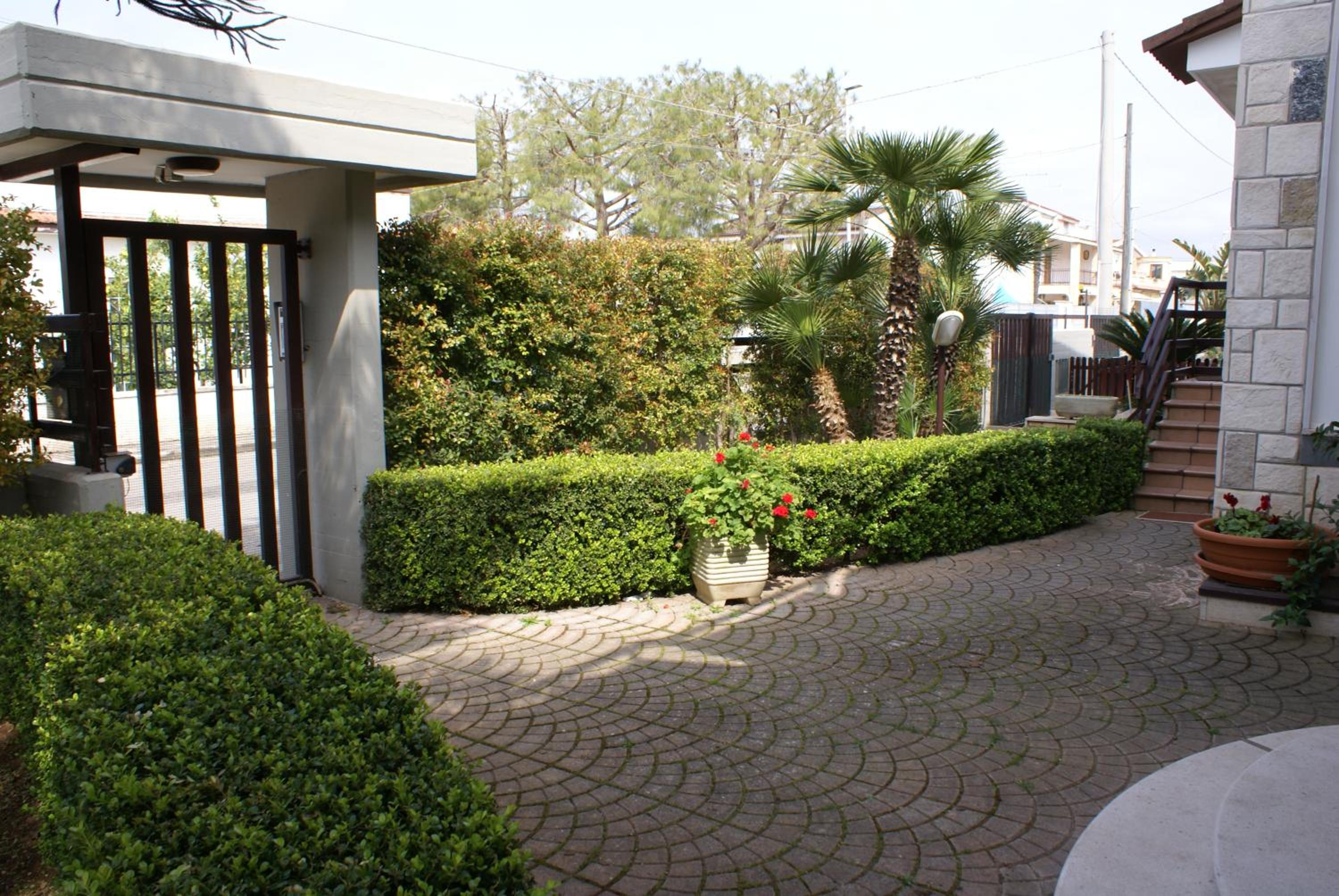 Photo 52