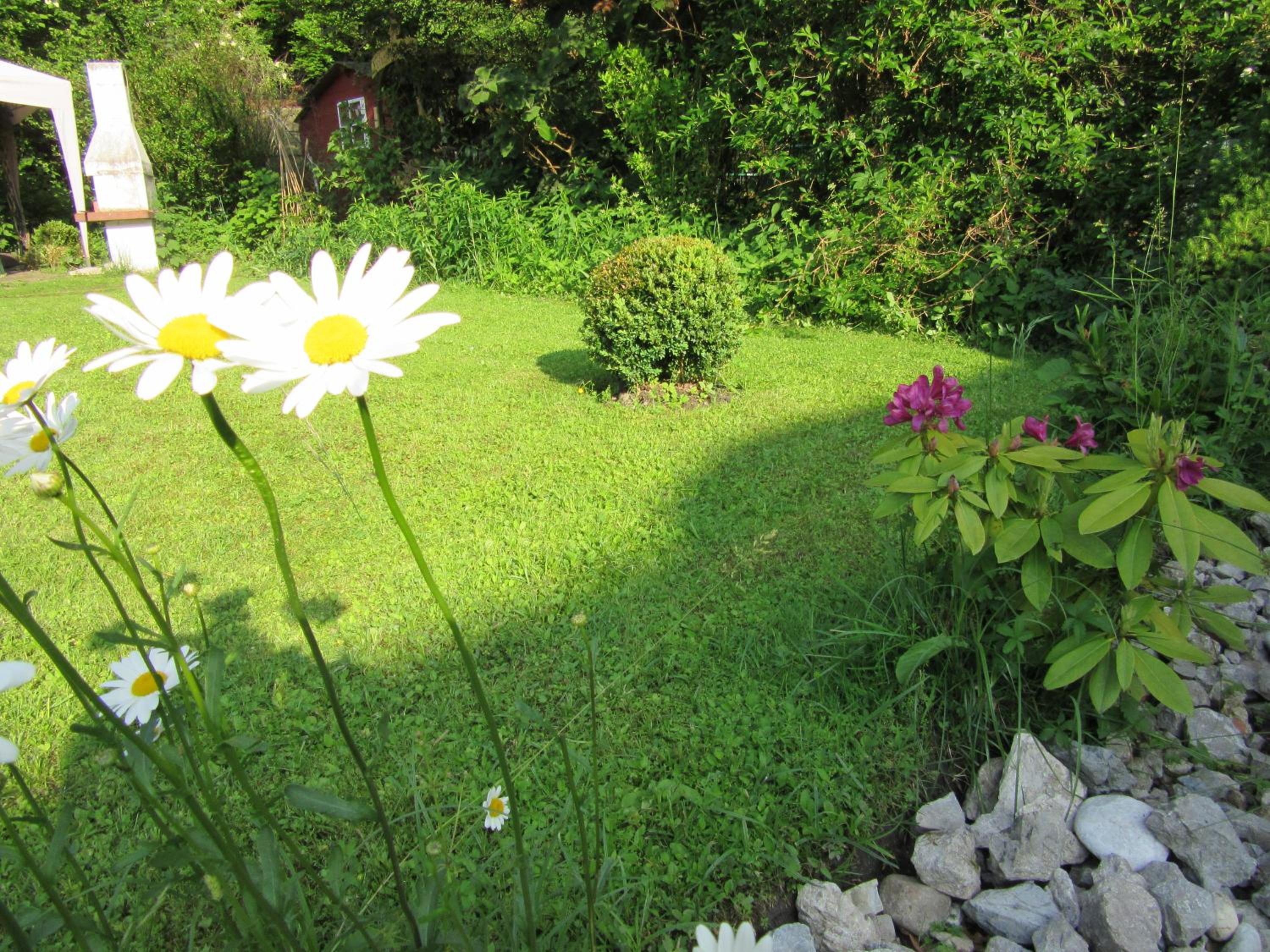 Photo 59