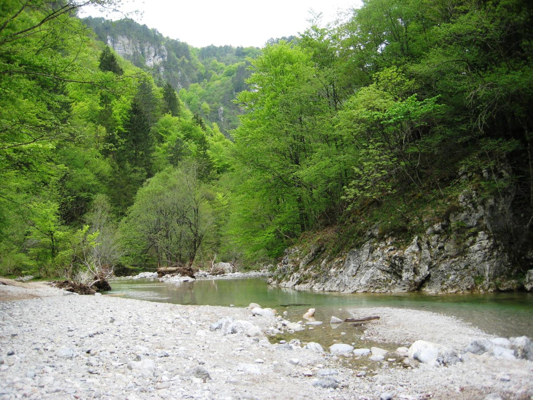 Photo 27