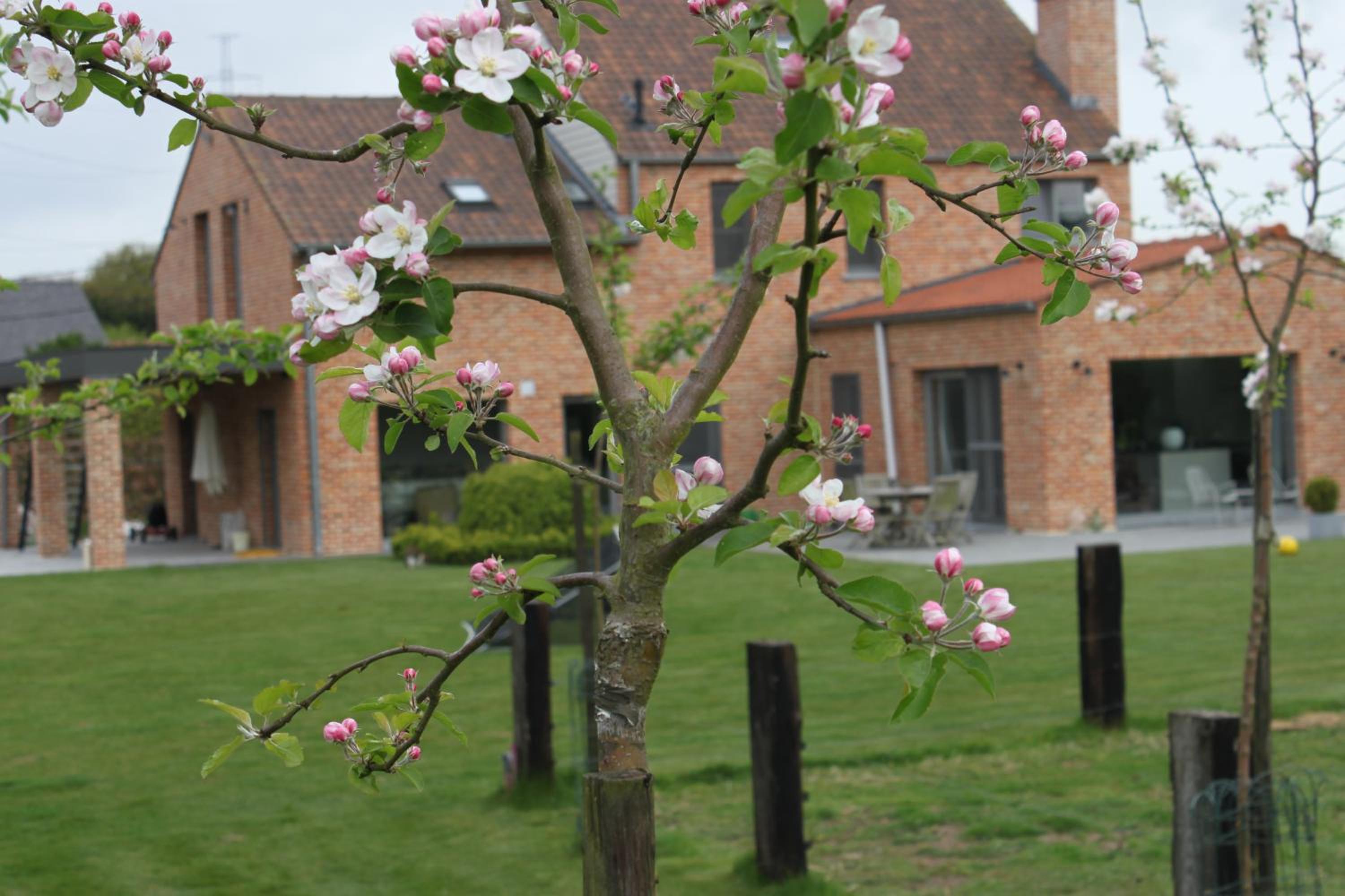 B&B 't Hoogste