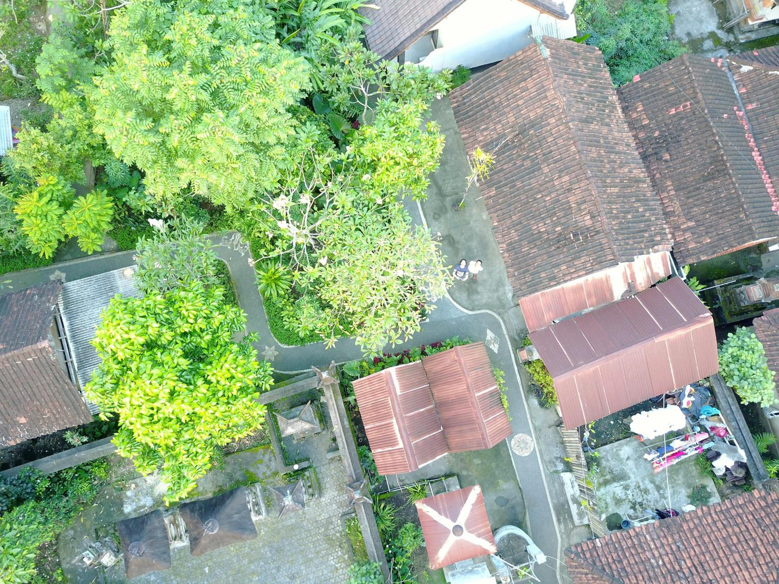 Pangkung Sari