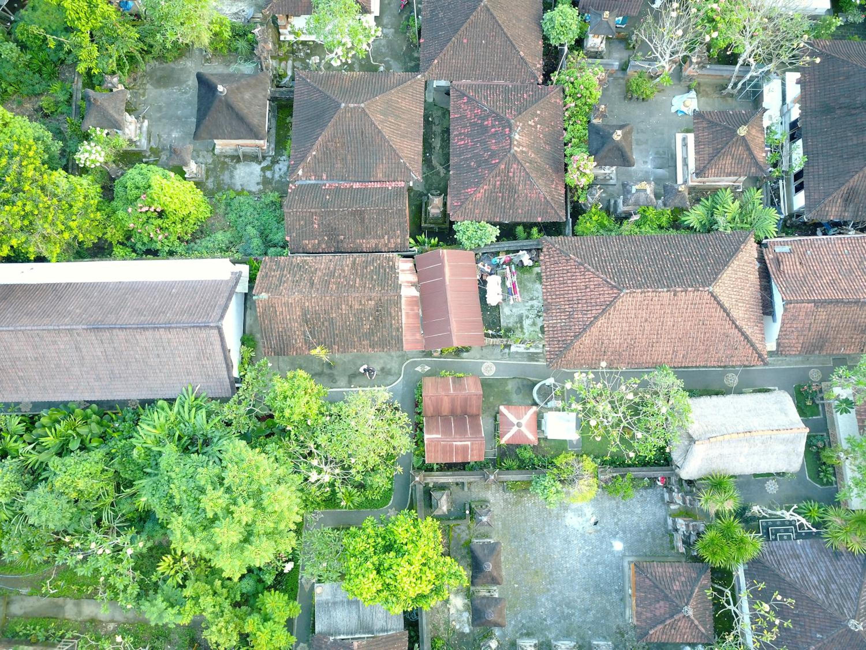 Pangkung Sari
