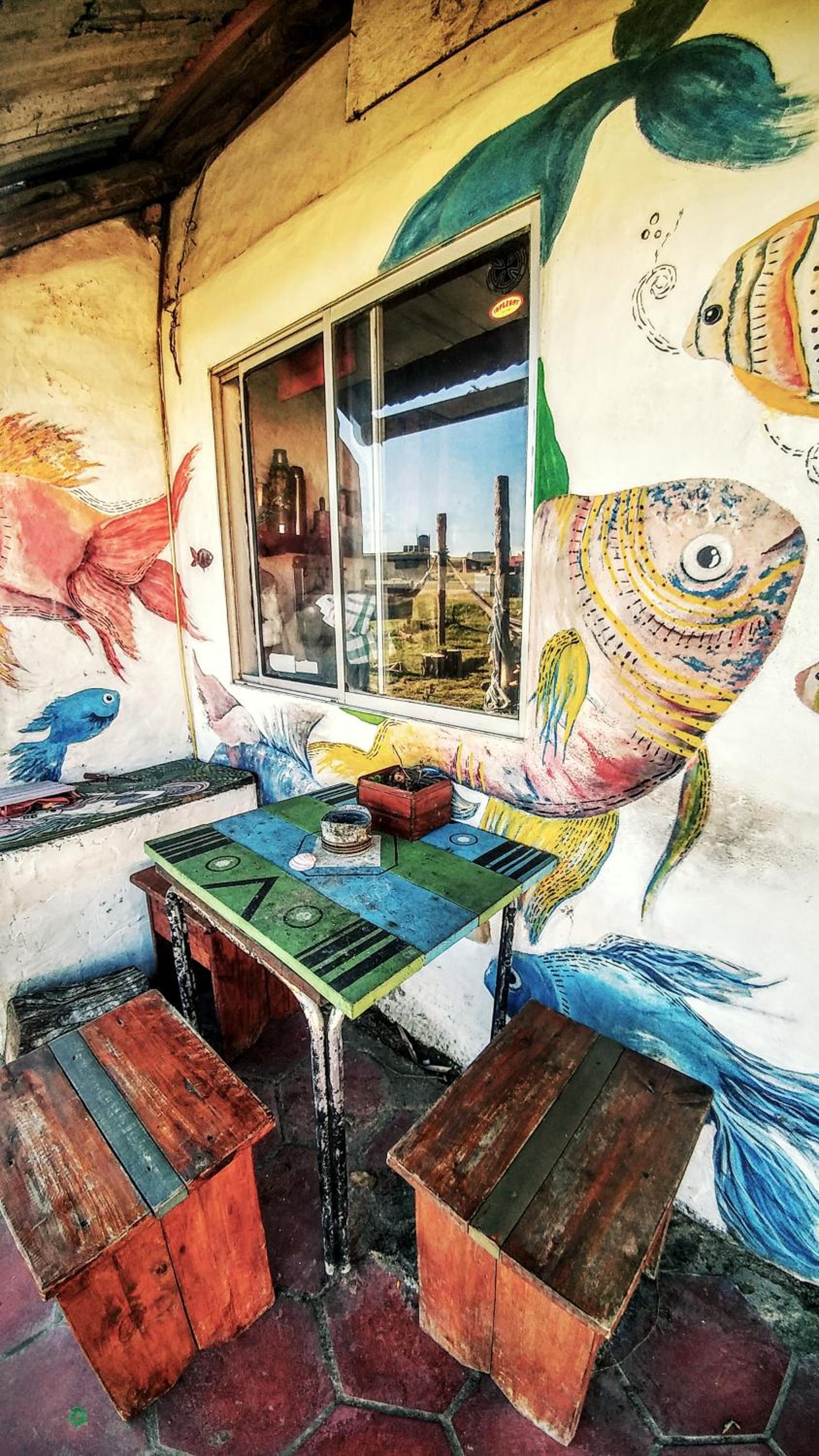 Viejo Lobo view 5