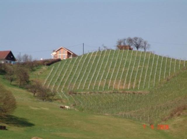 Gästeapartement Schlossblick