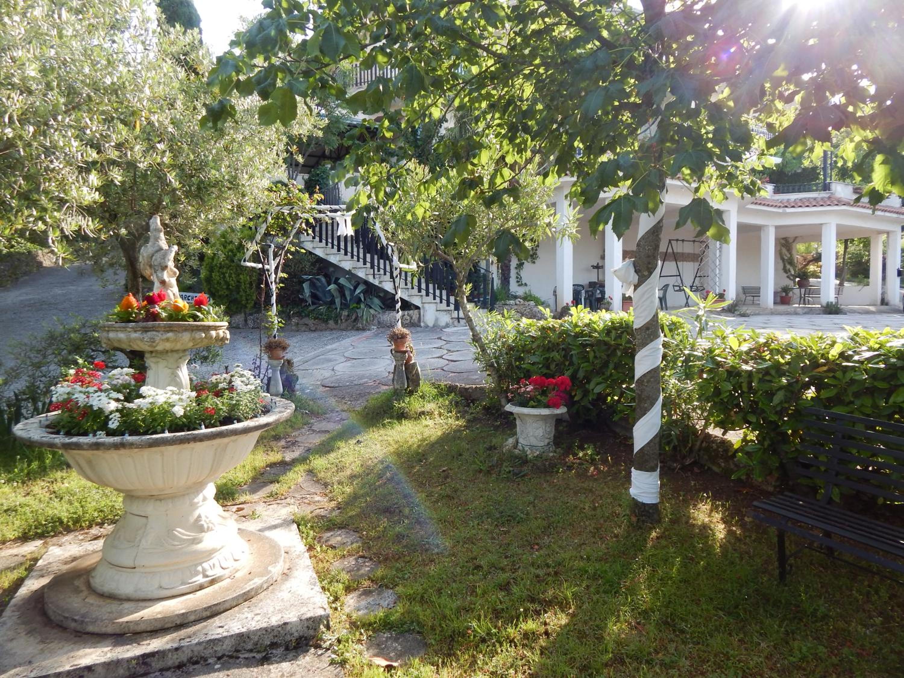 Photo 25