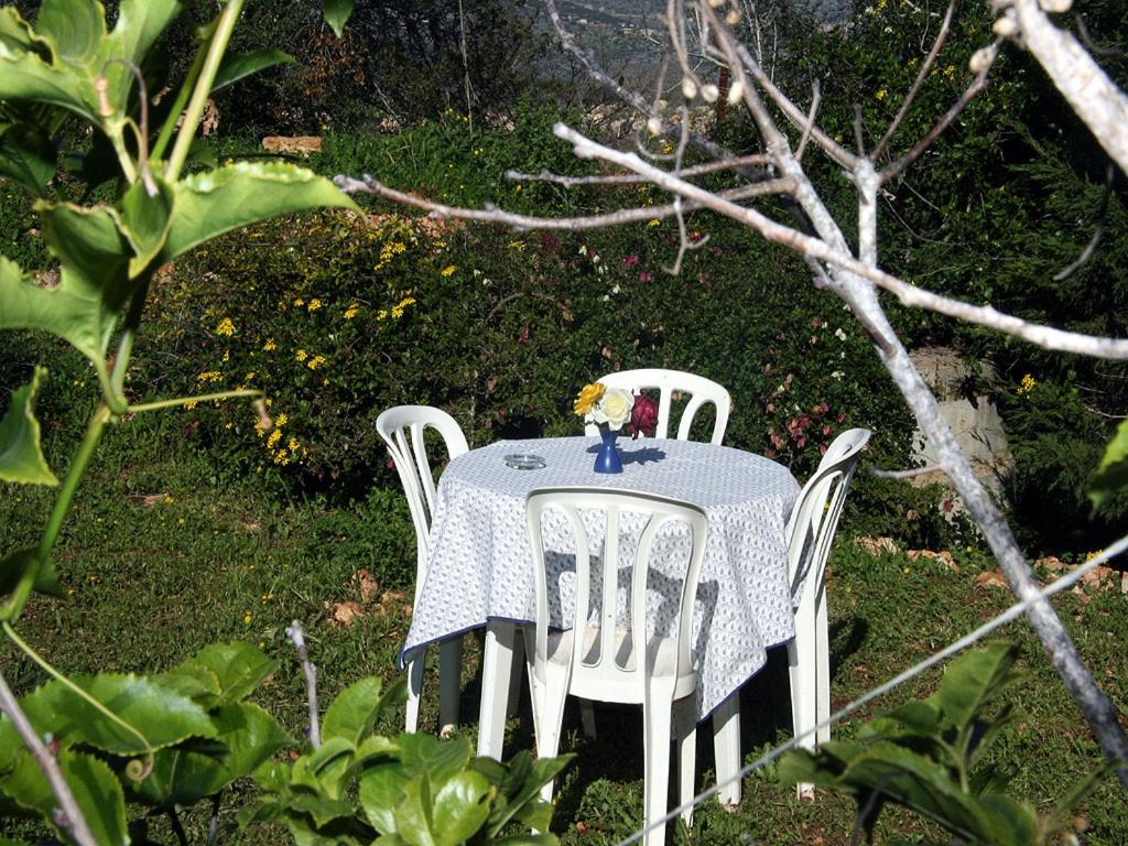 Photo 41