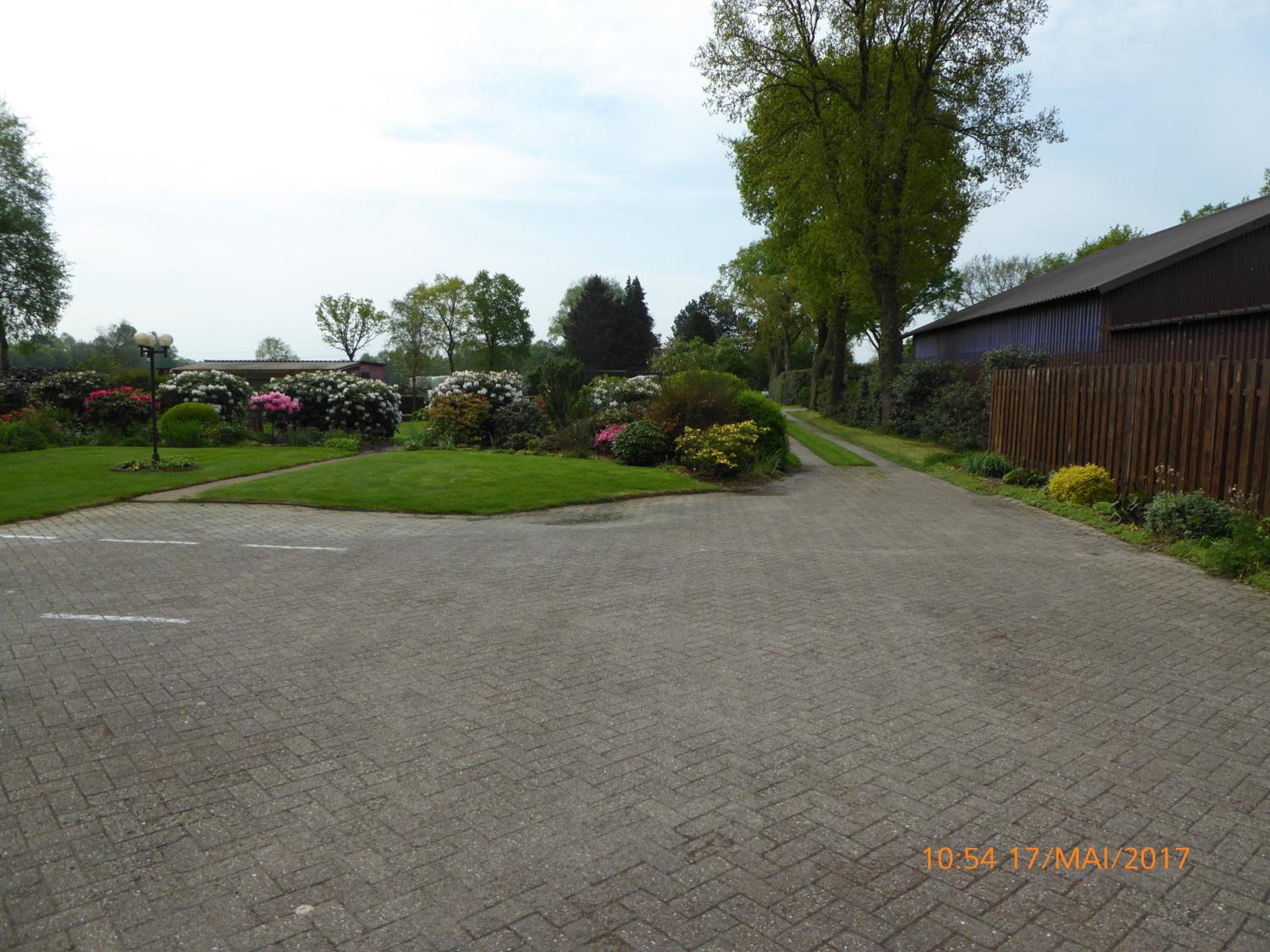 Schmidtfewo Moorgeist view 5