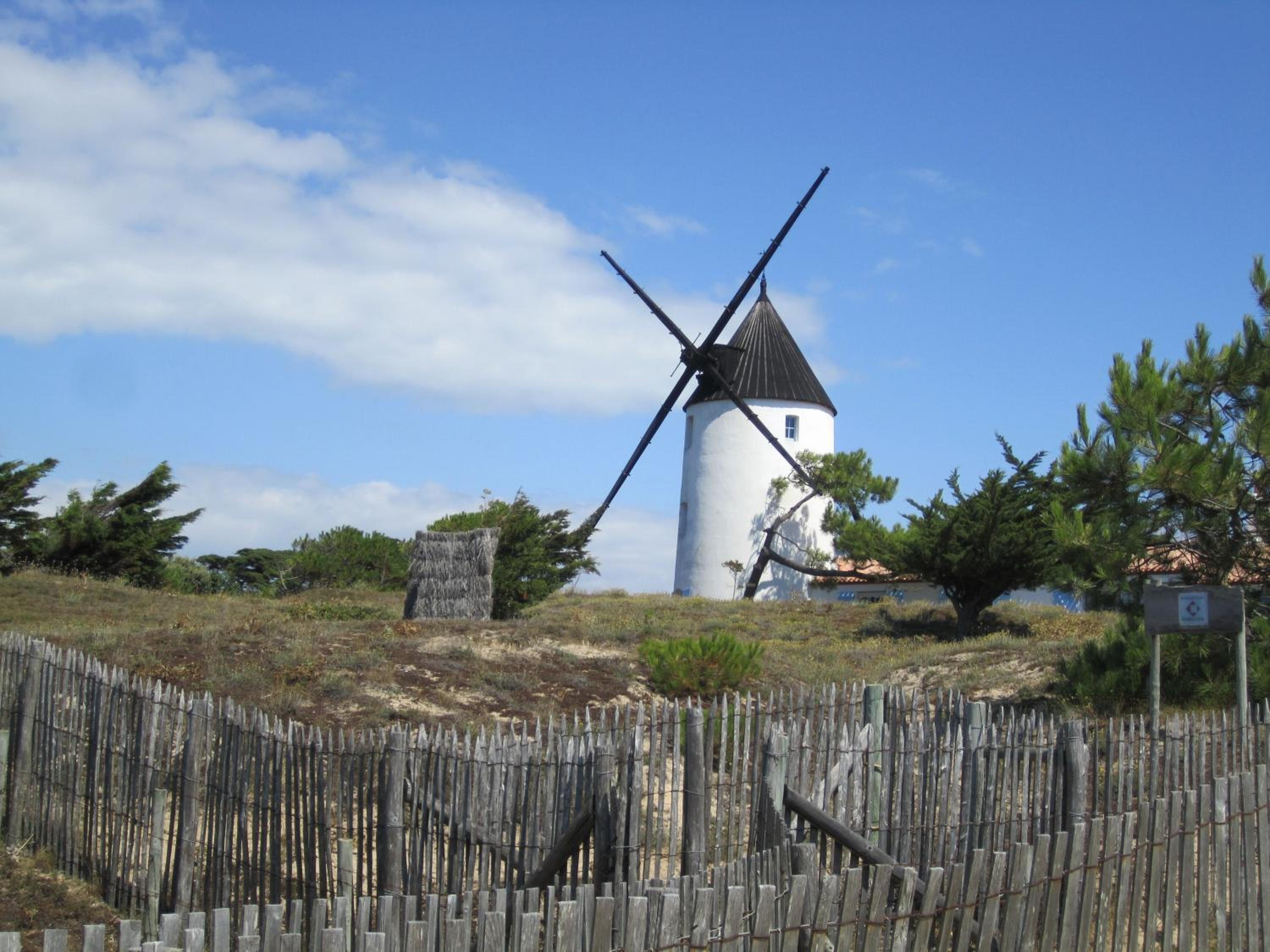 Photo 23