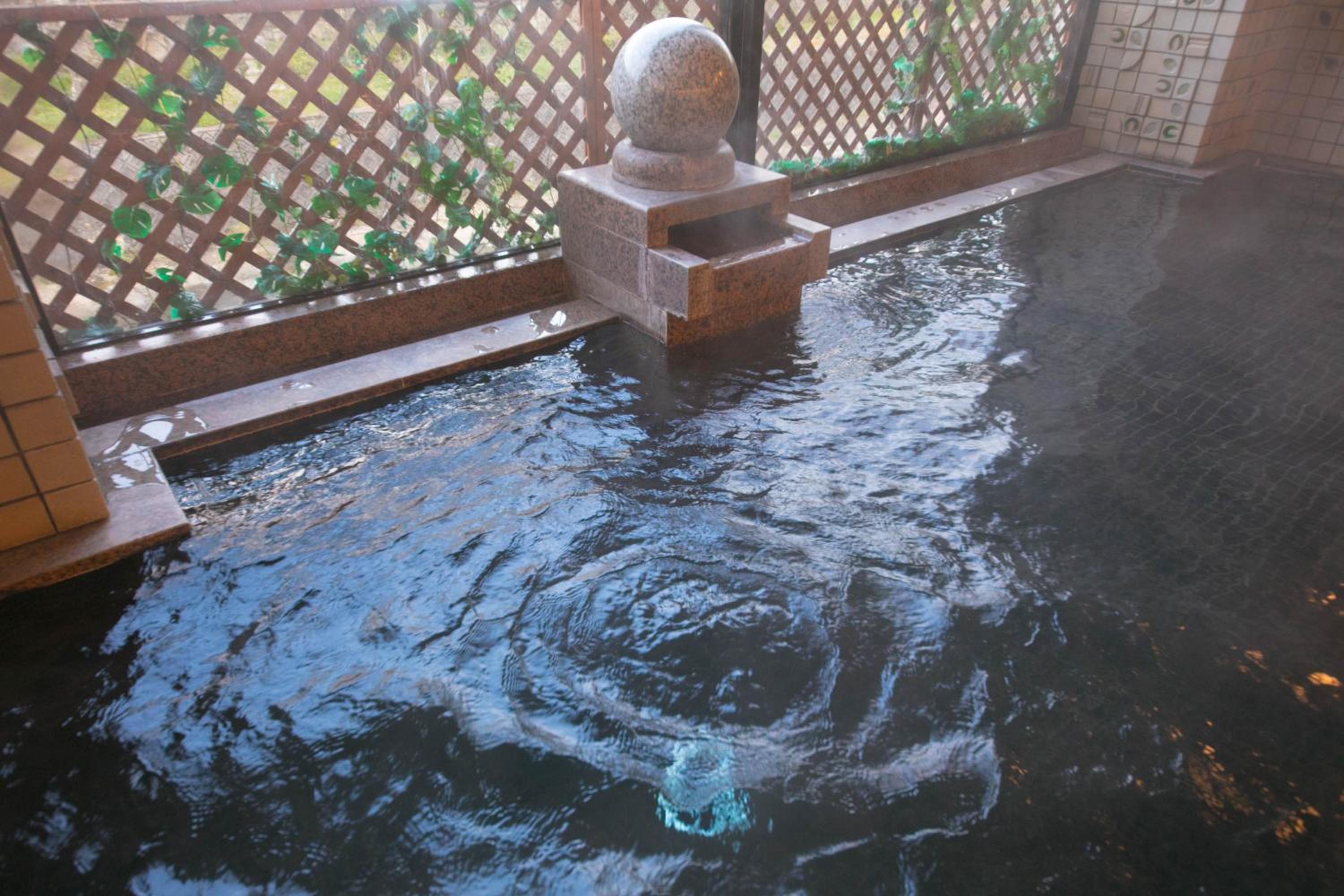 Ryokan Seishounagon
