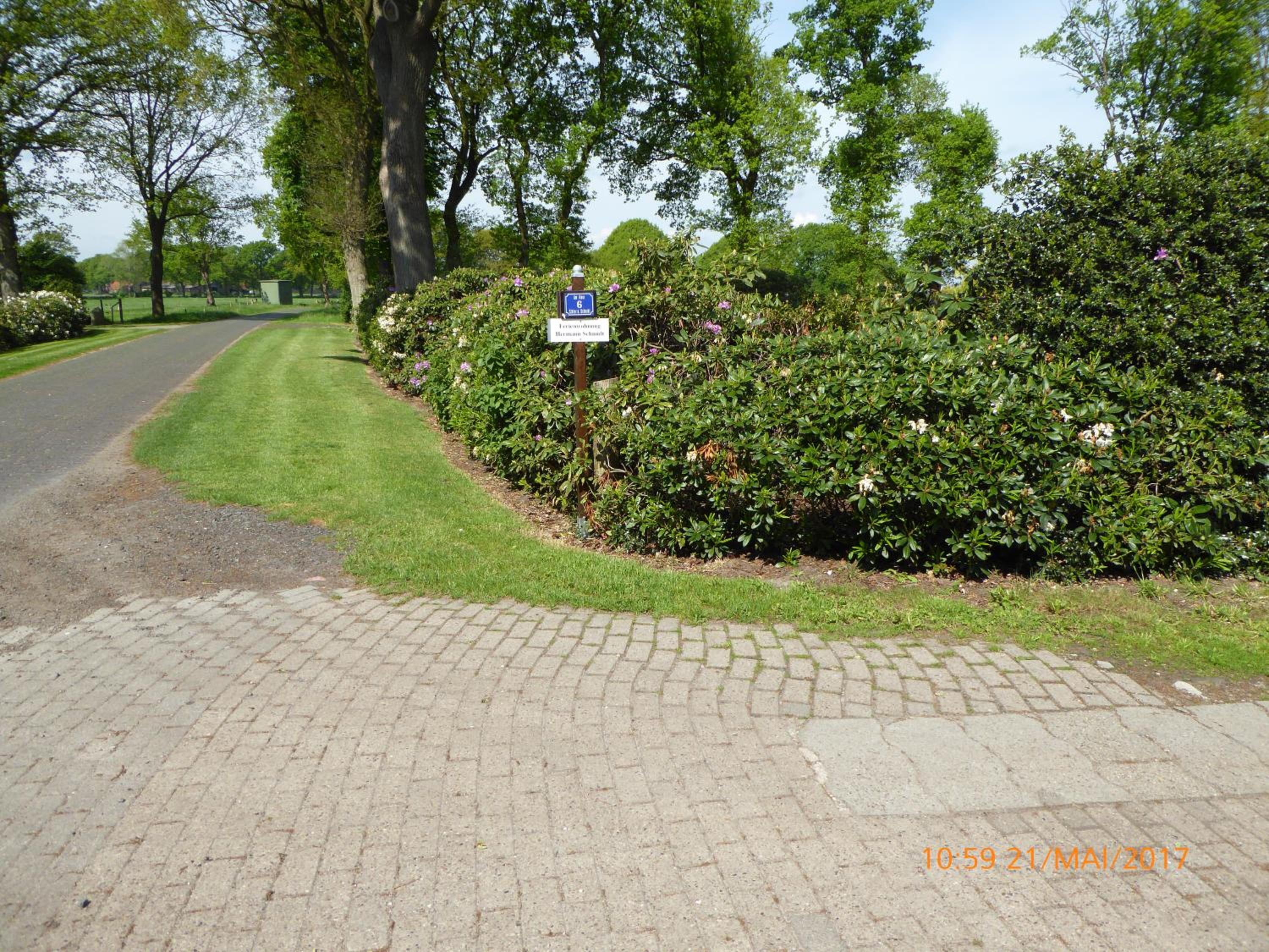 Schmidtfewo Moorgeist view 4