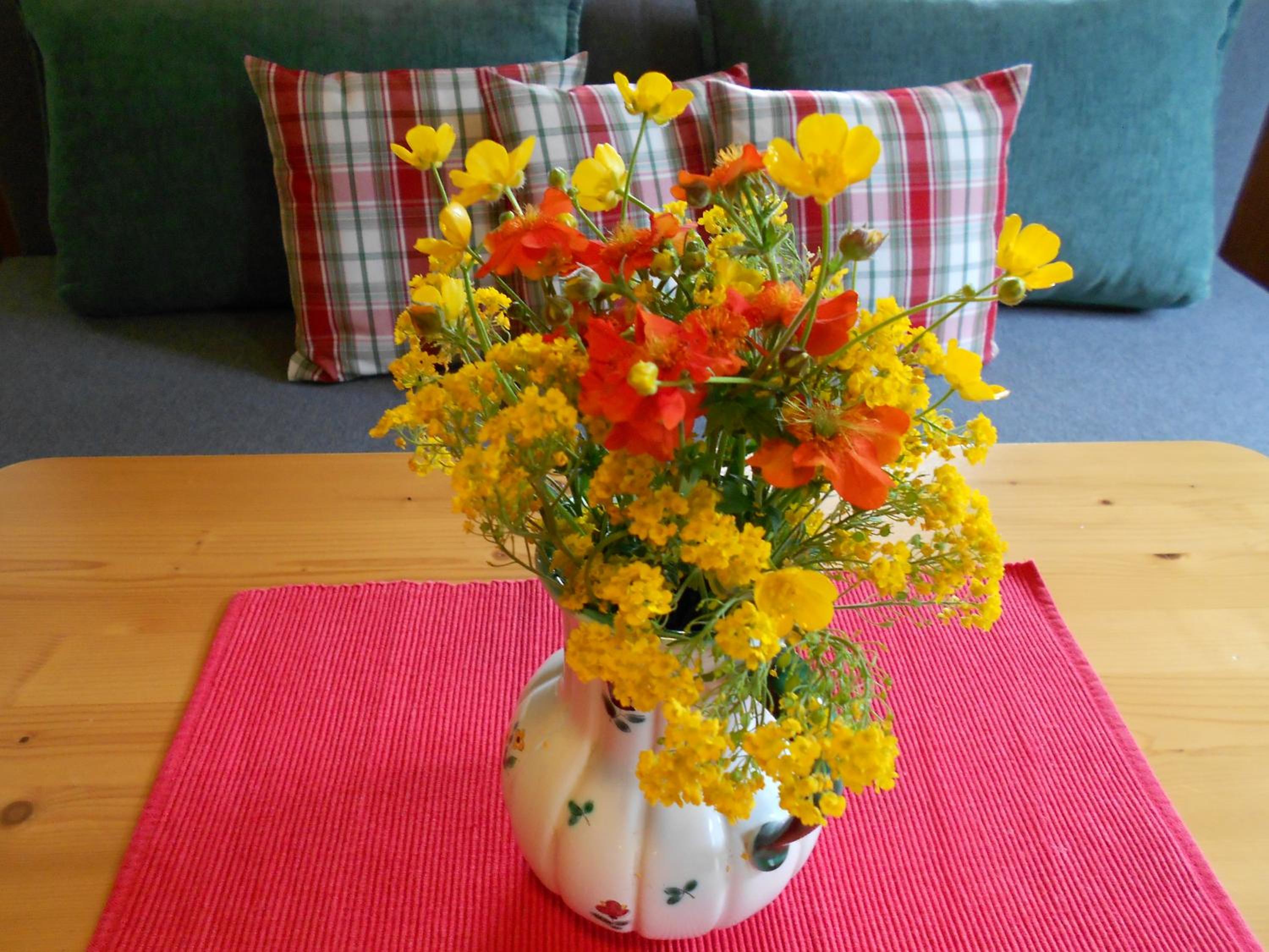 Ferienhaus Pfeifer view 2