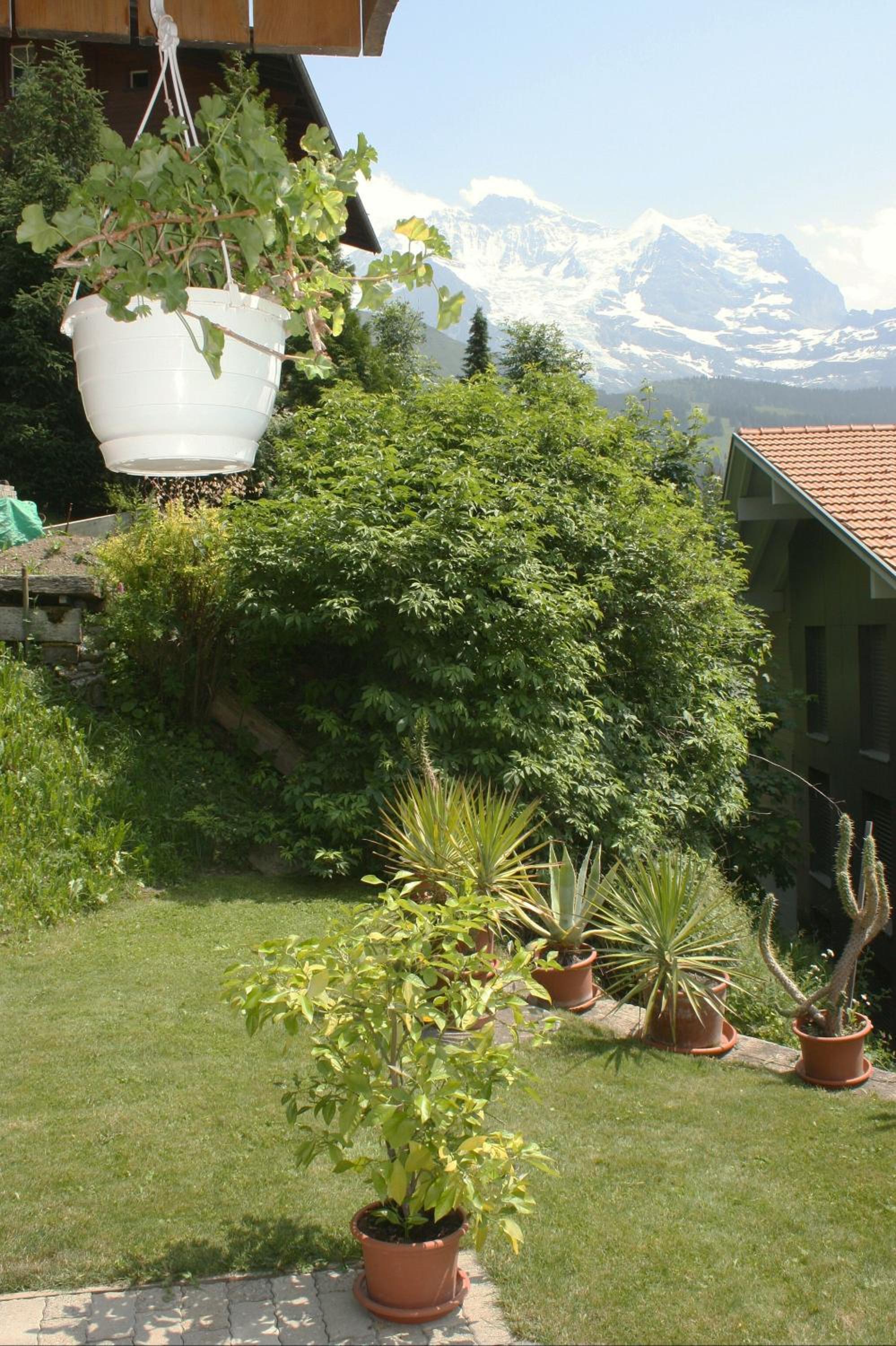 Photo 20