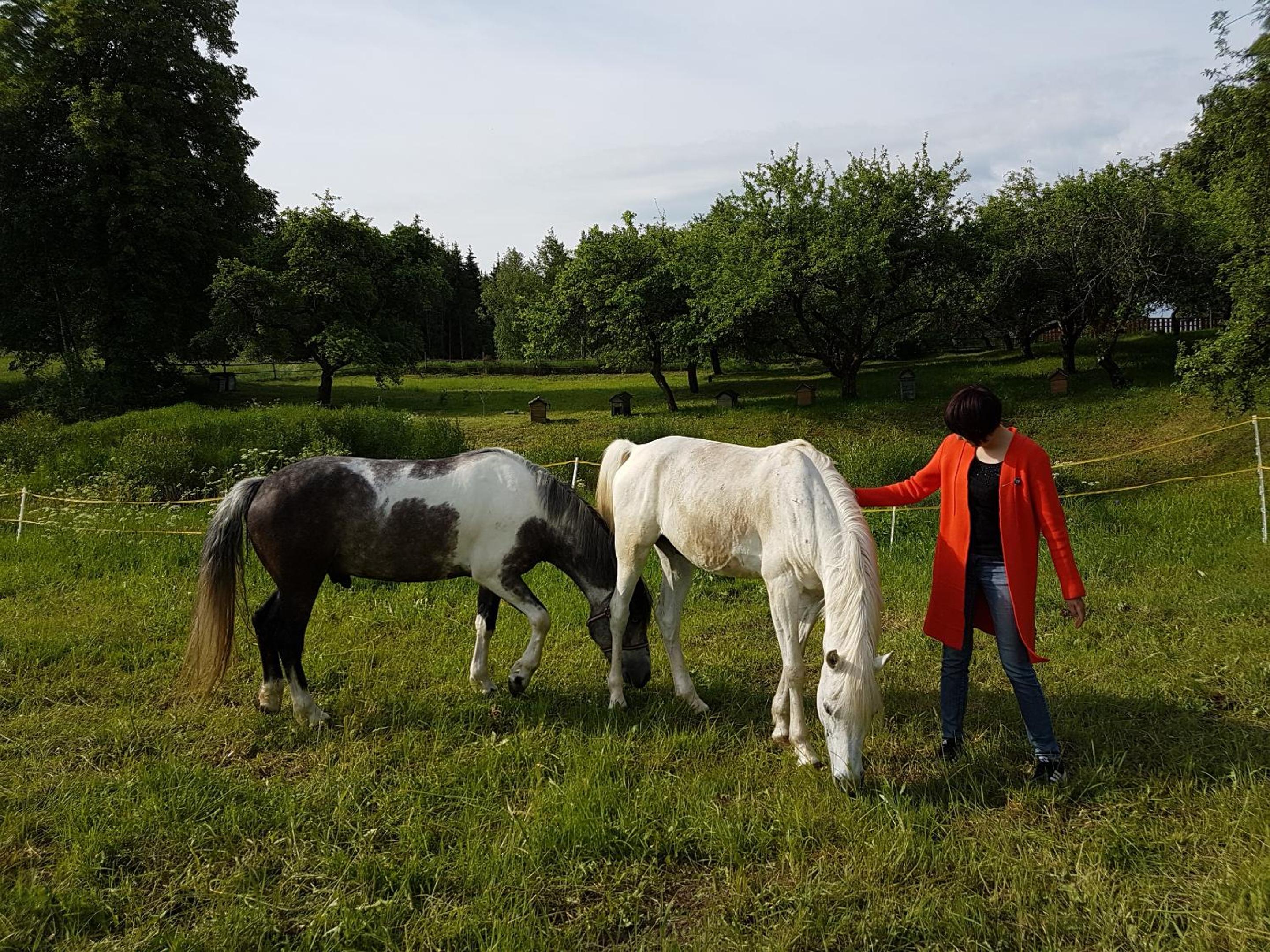 Photo 41