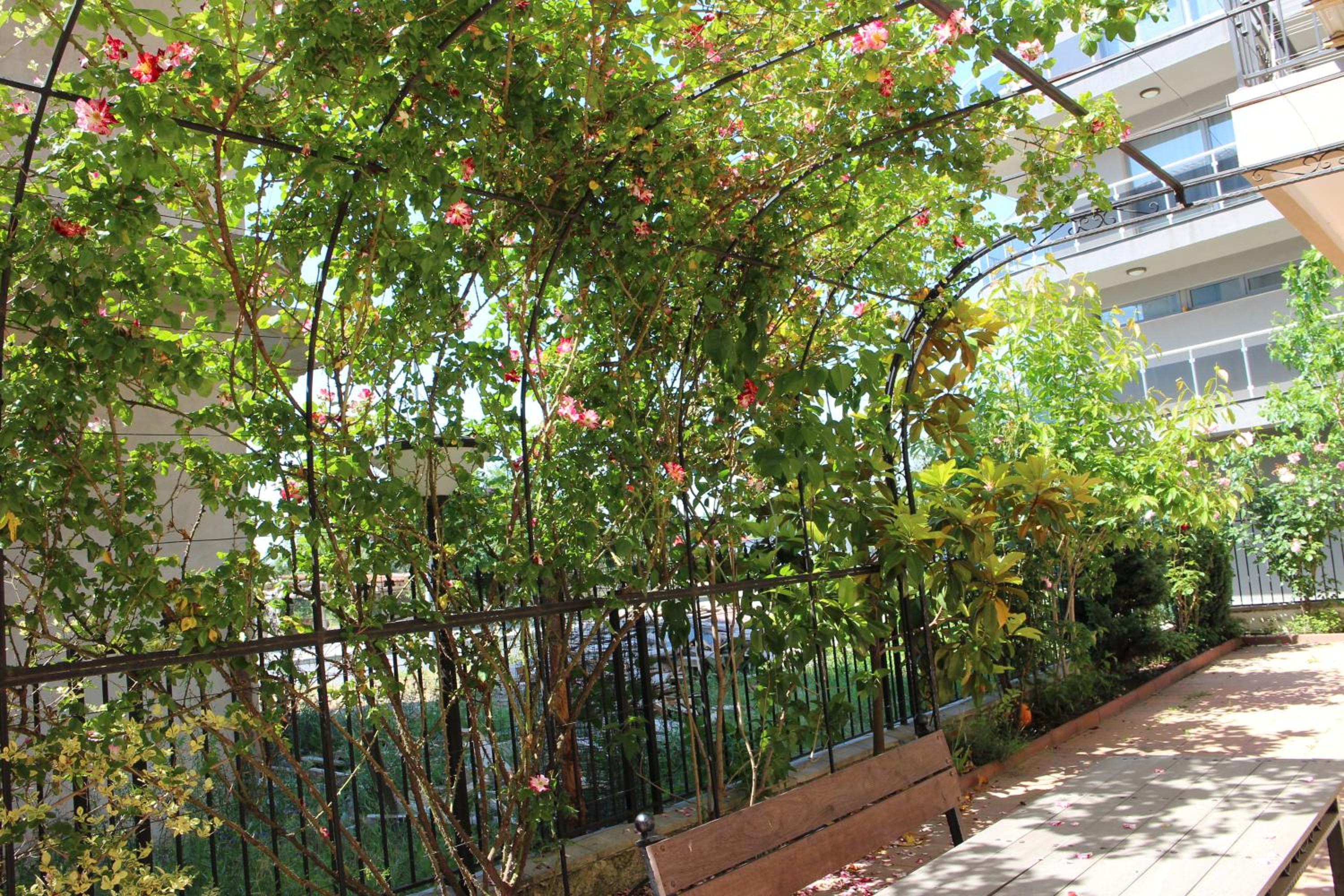 Flowers Apartments