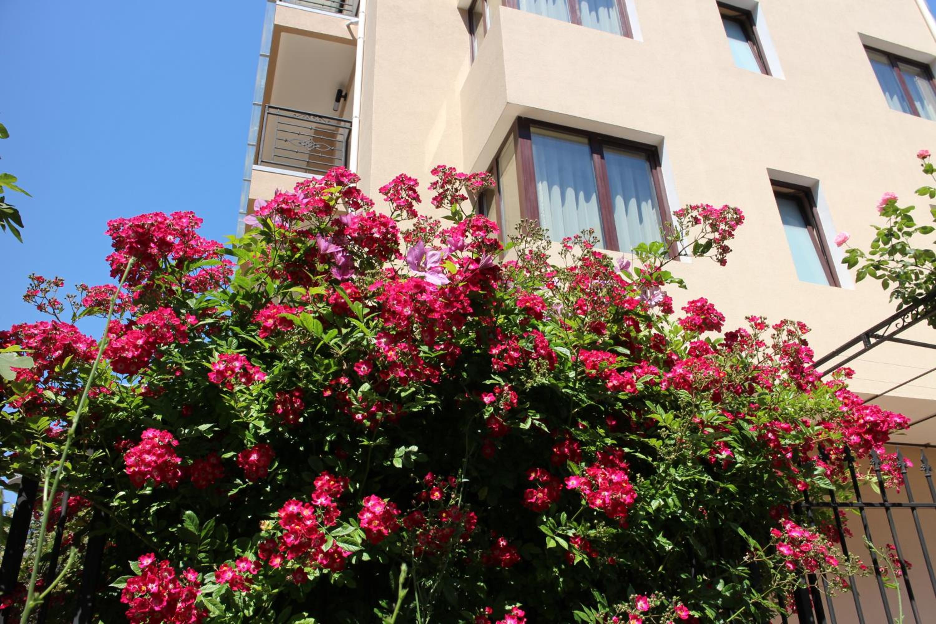 Flowers Apartments