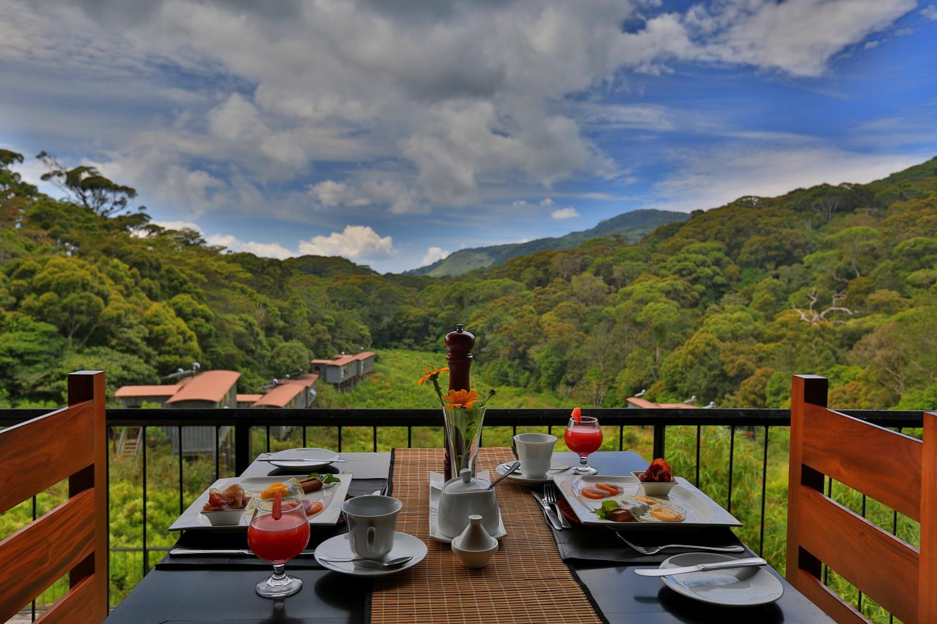 The Rainforest Ecolodge - Sinharaja with Shuttle Service from Car Park view 3