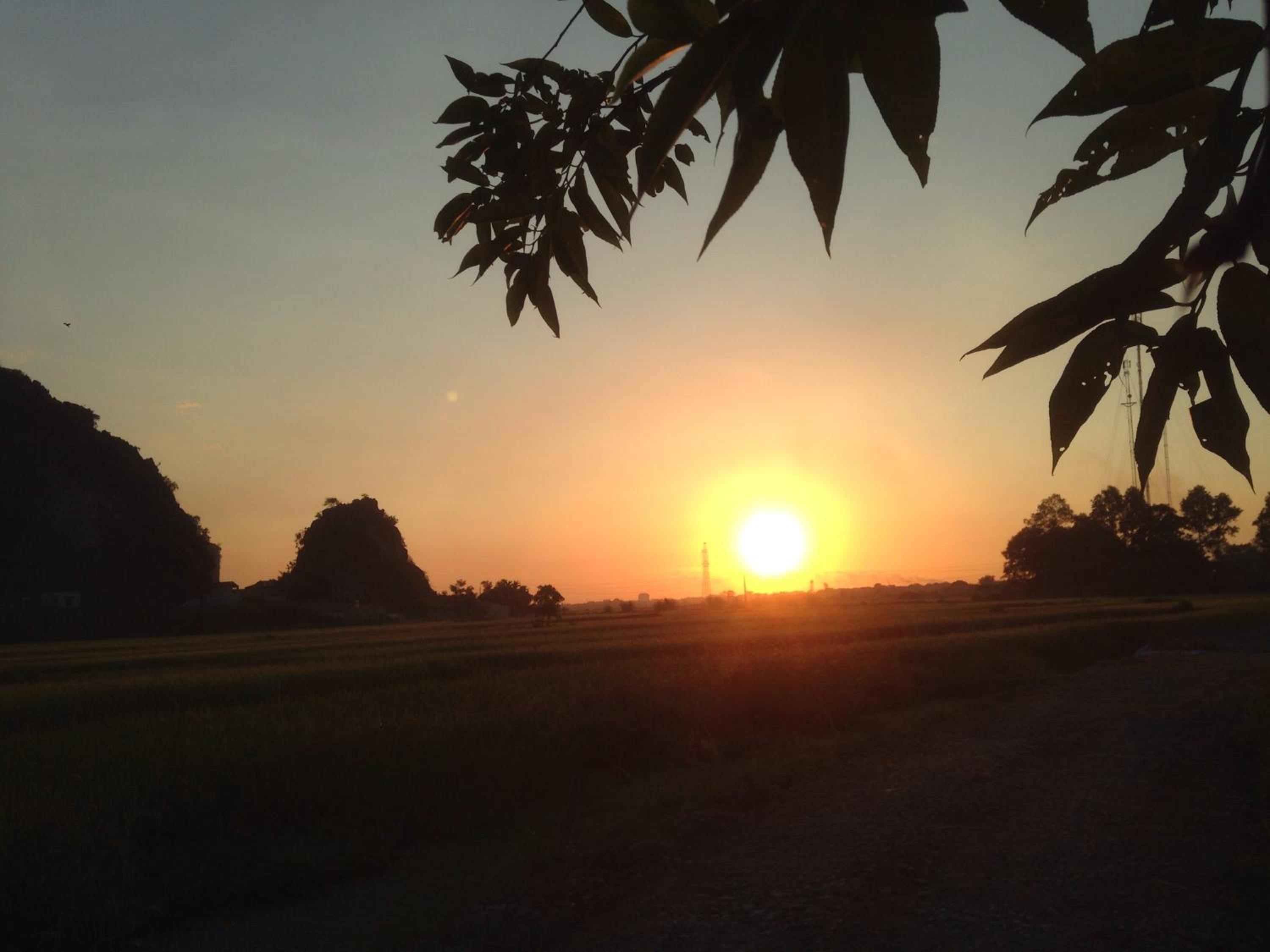 Tam Coc Mountain View Homestay