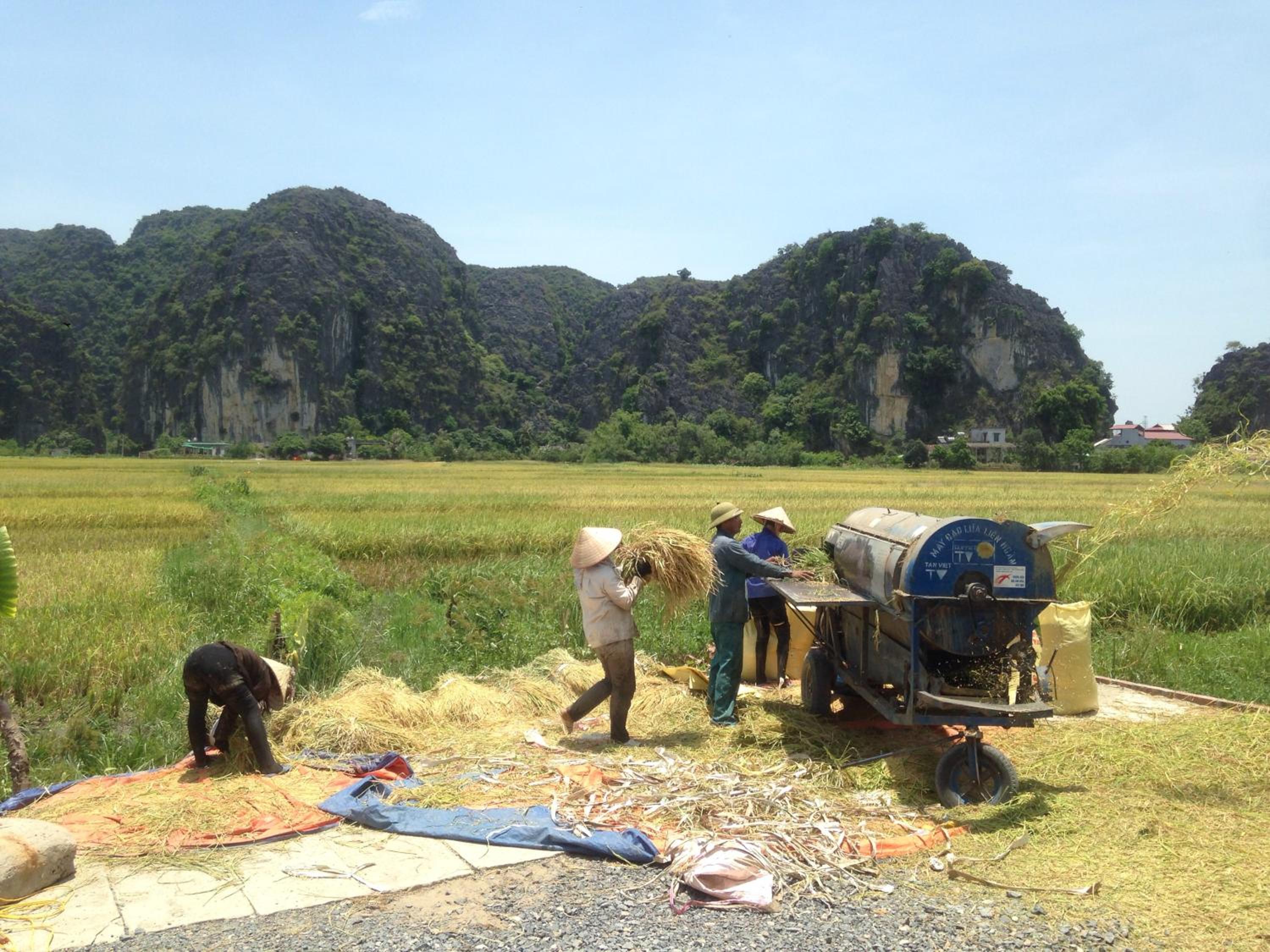Tam Coc Mountain View Homestay