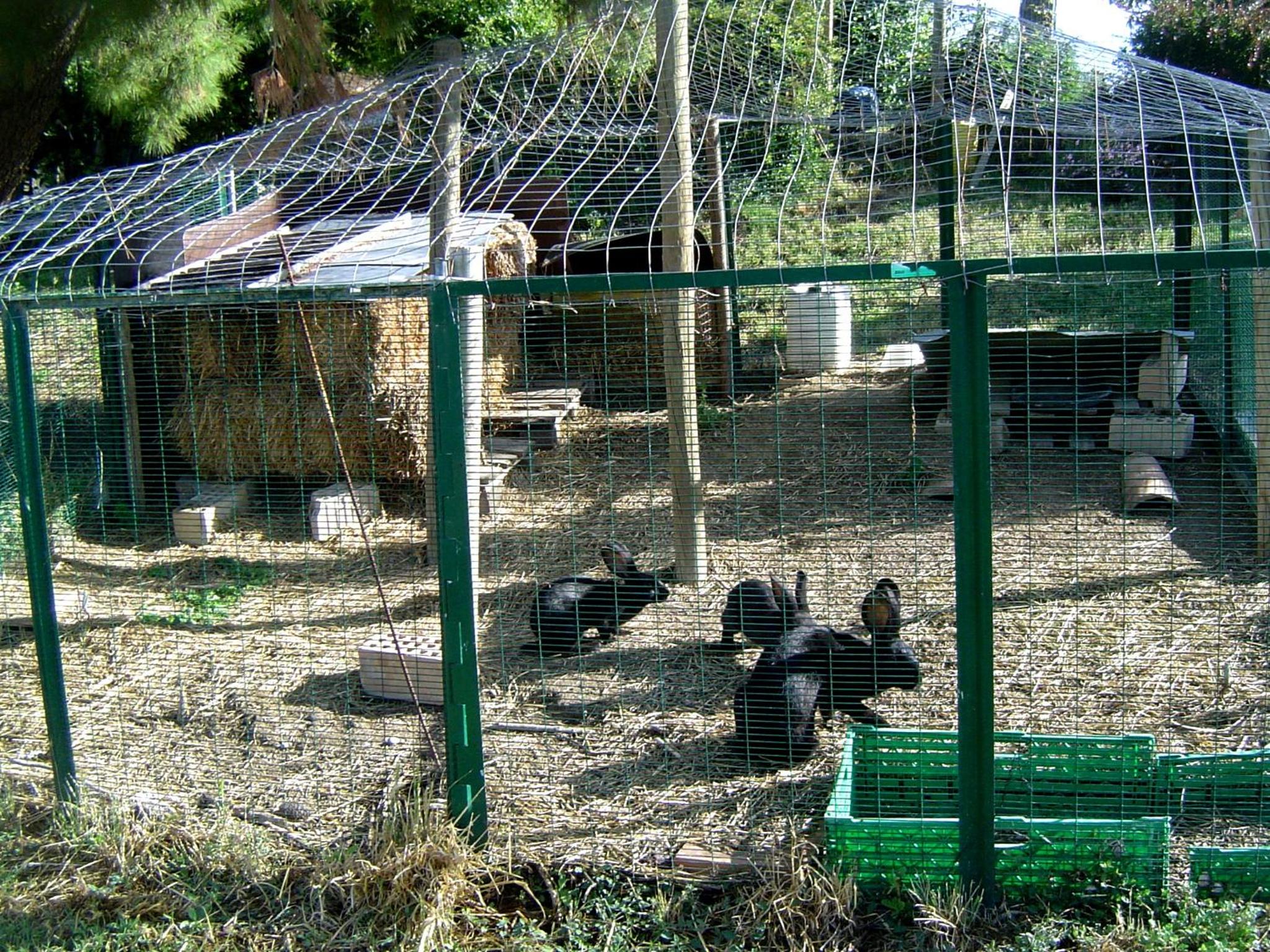 Agriturismo Galanti