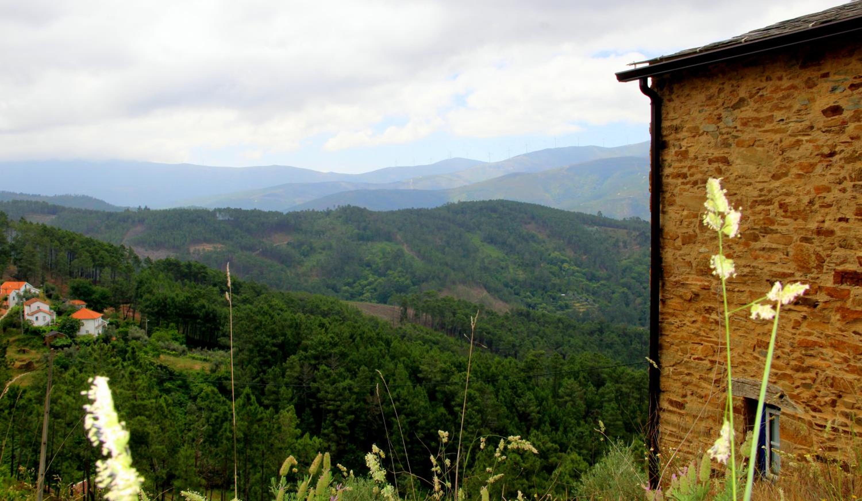 Quinta Do Caramulo view 5