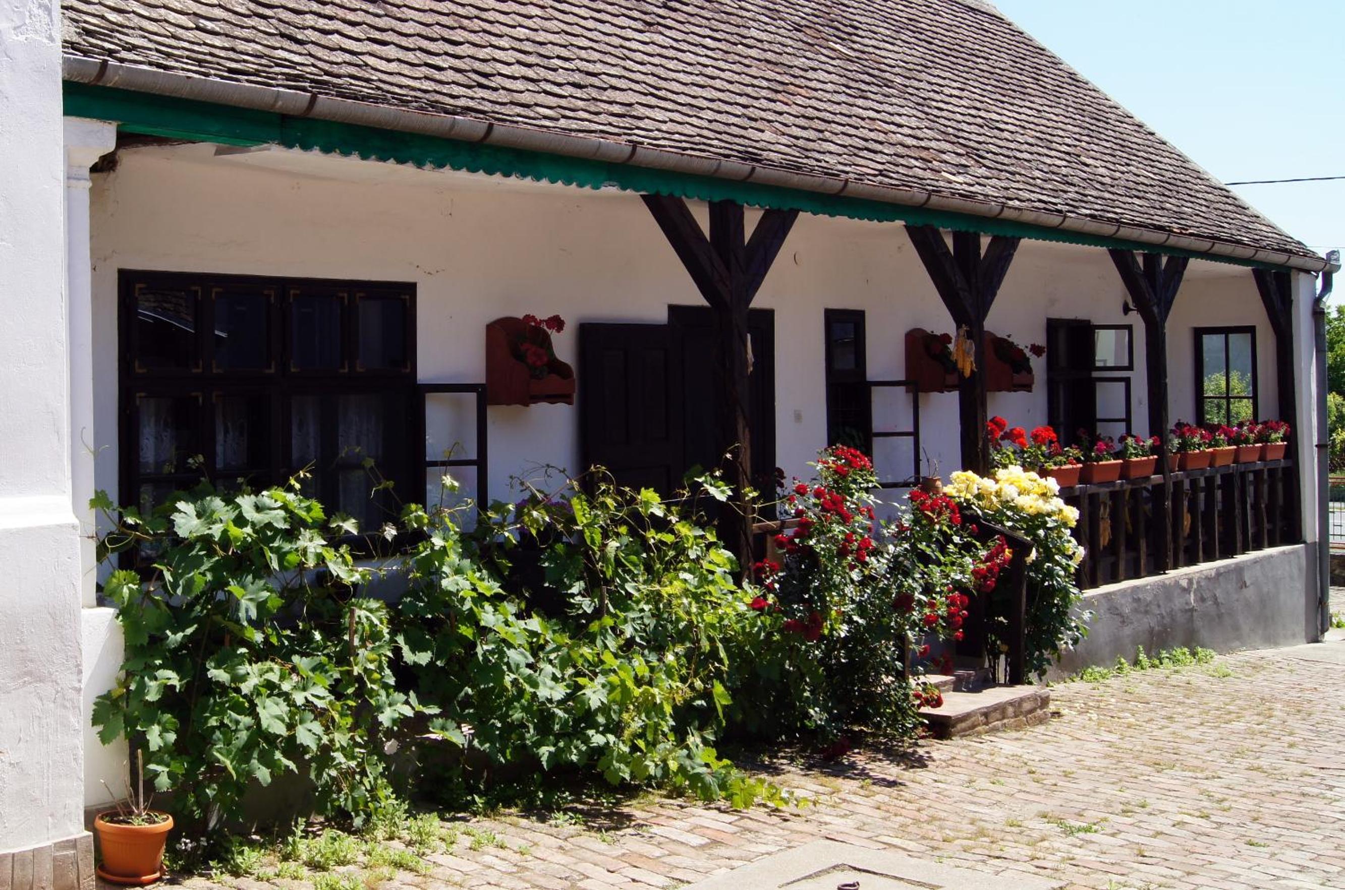 Photo 46