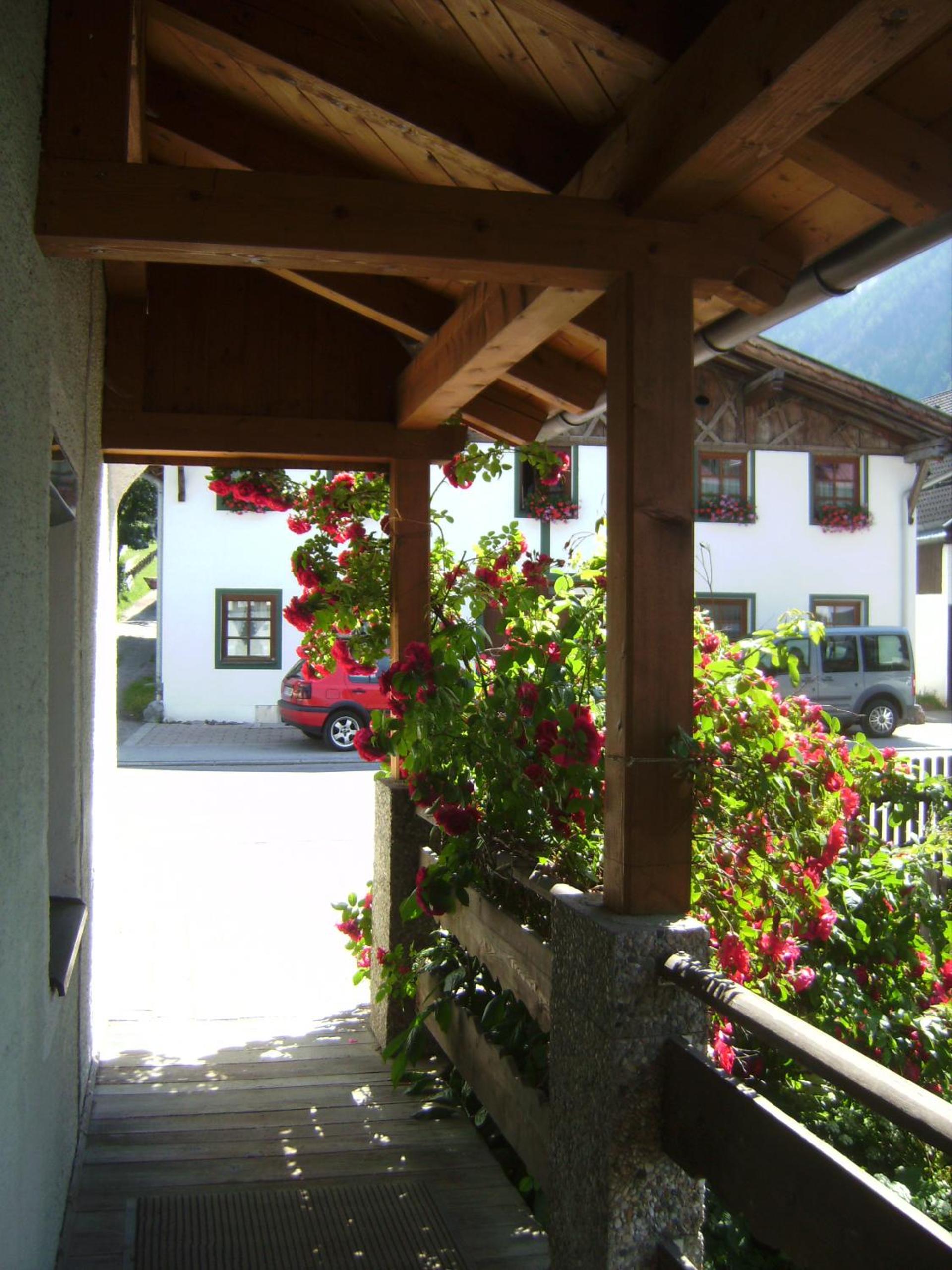 Photo 46