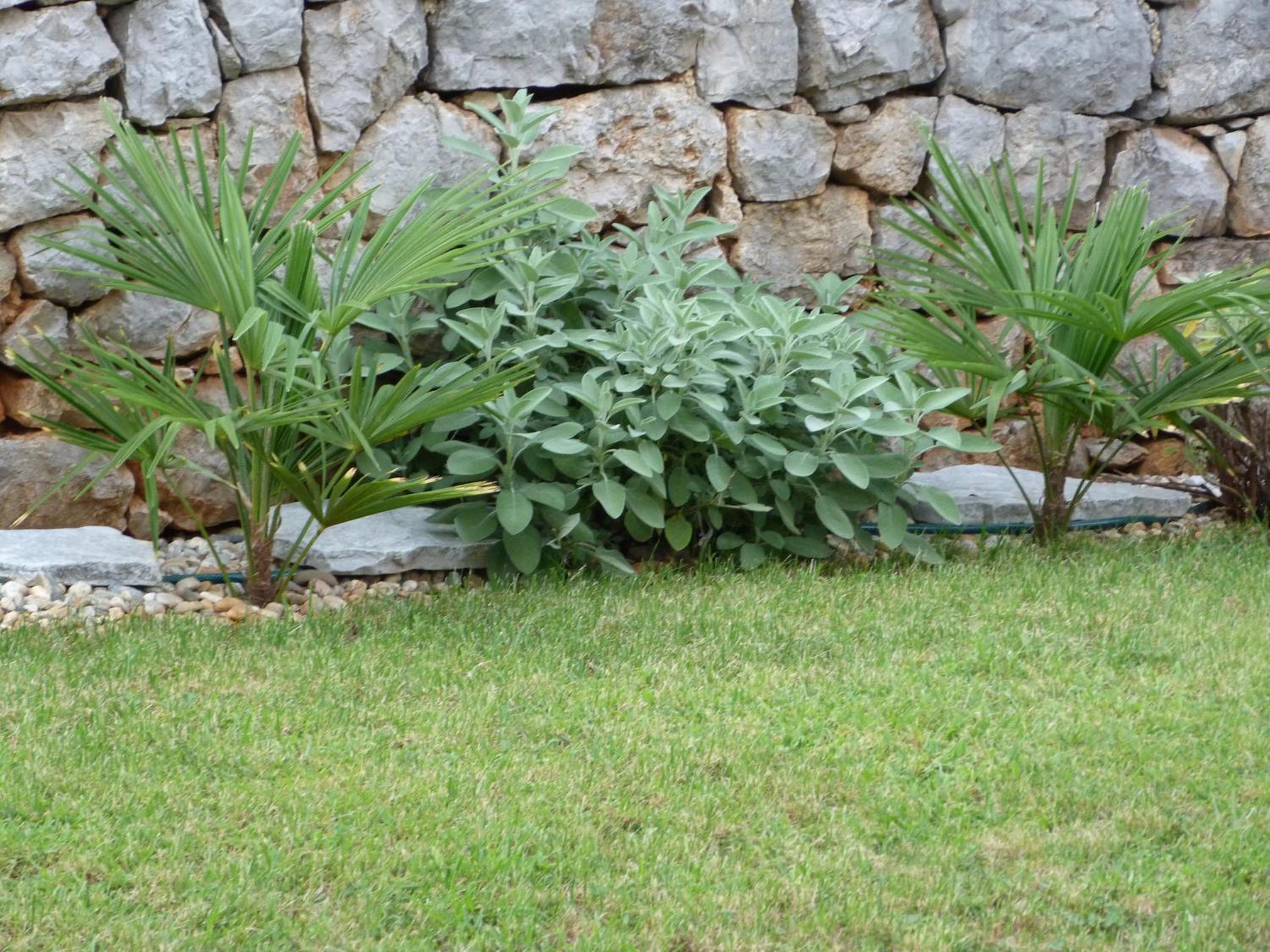 Photo 77