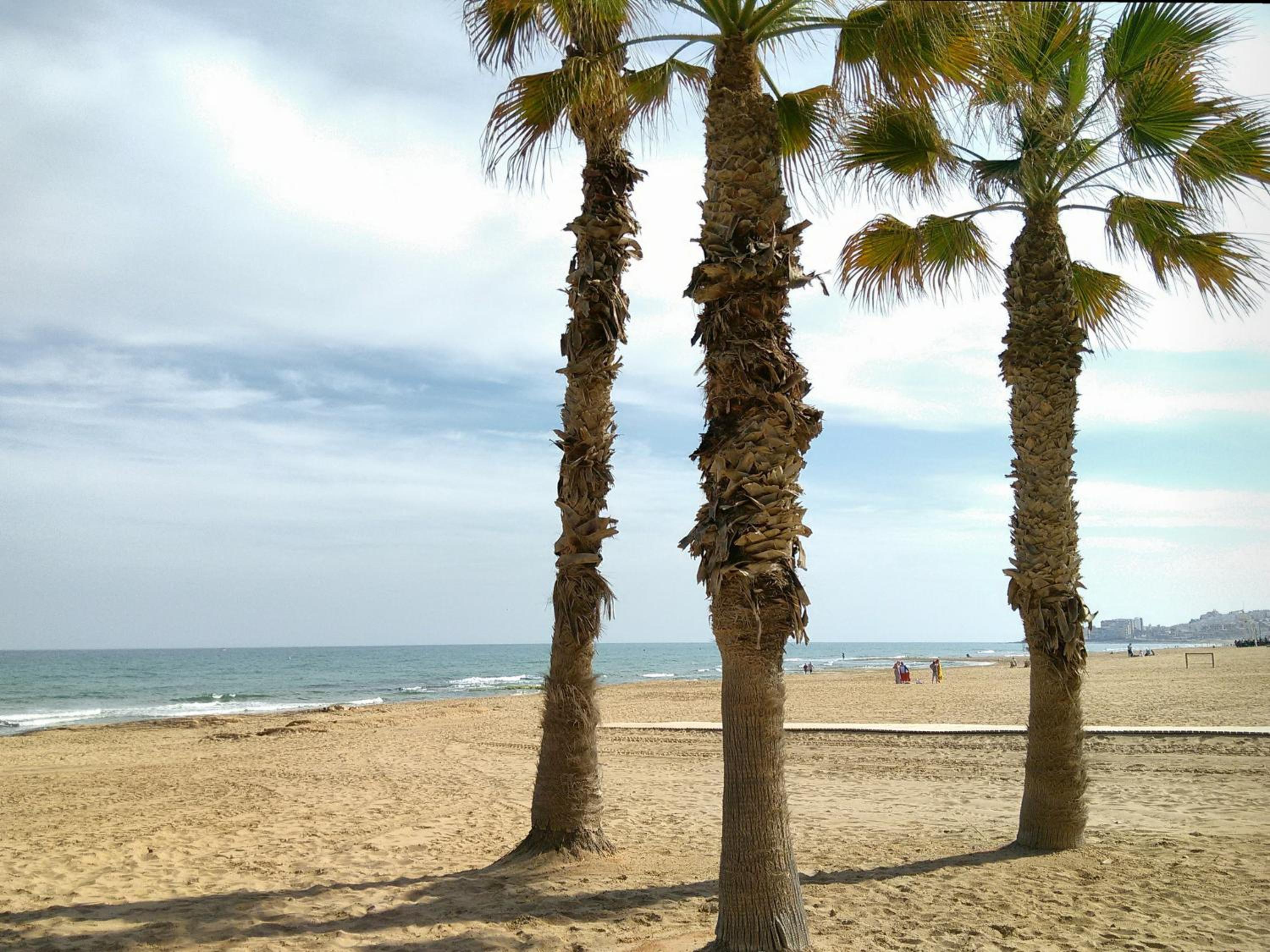 La Mata Beach Apartment view 5