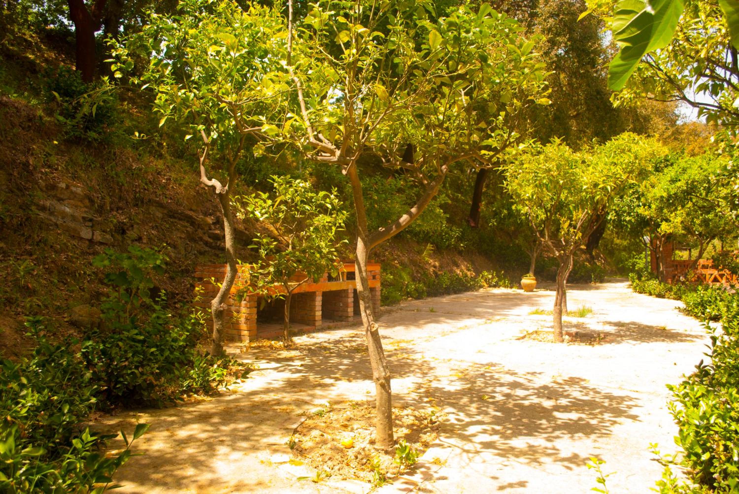 Photo 9
