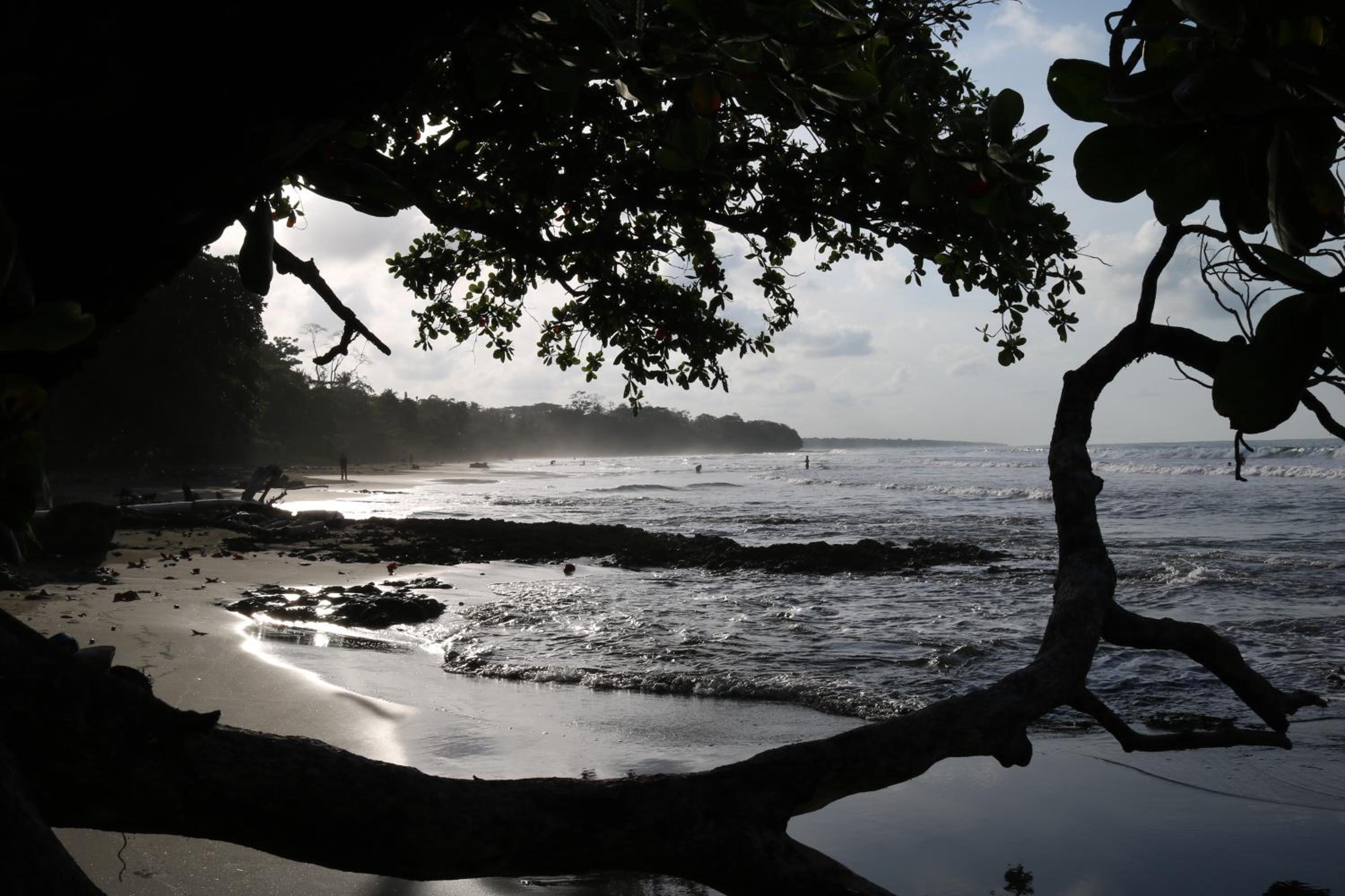 New Caribe Point