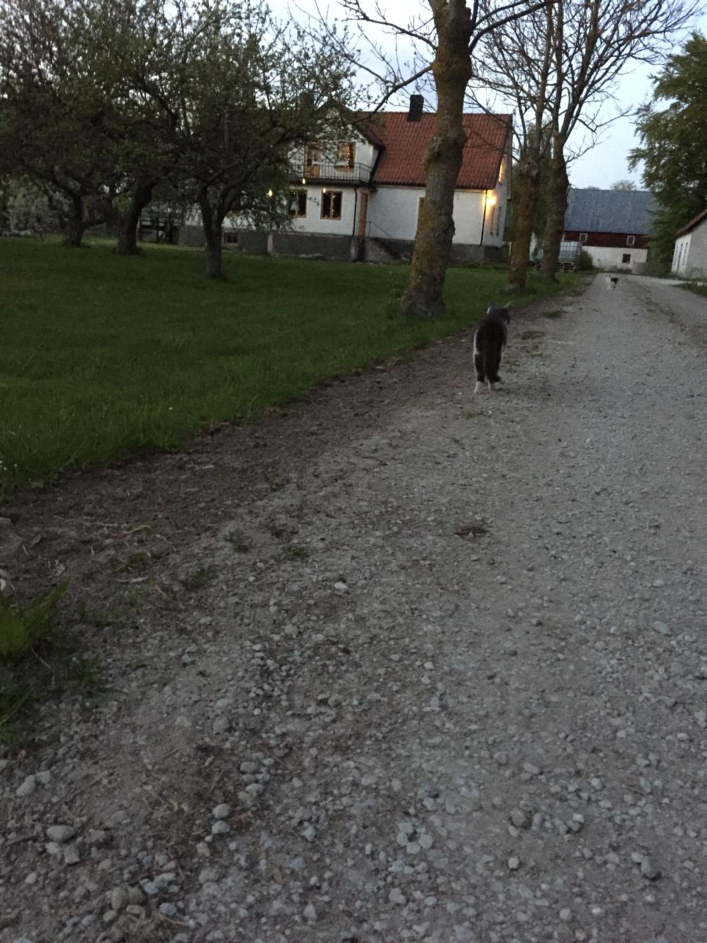 Photo 33