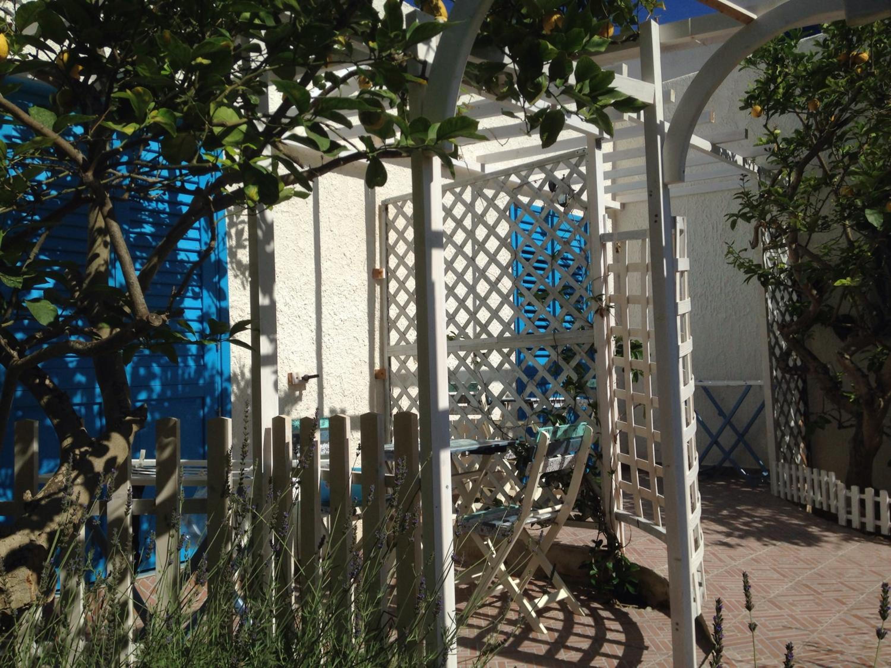 Photo 42