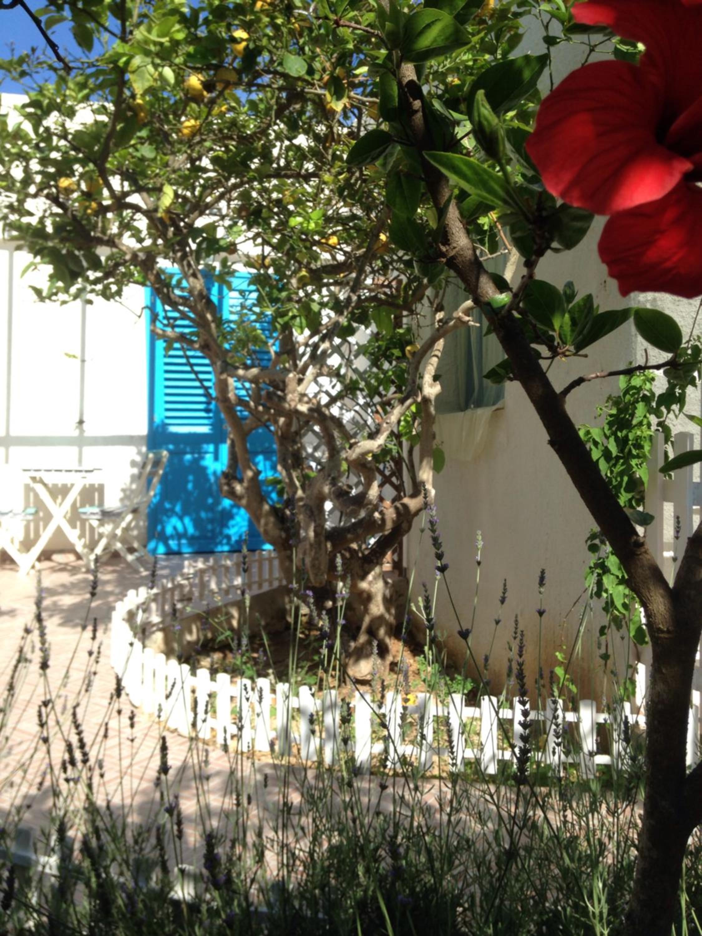 Photo 41