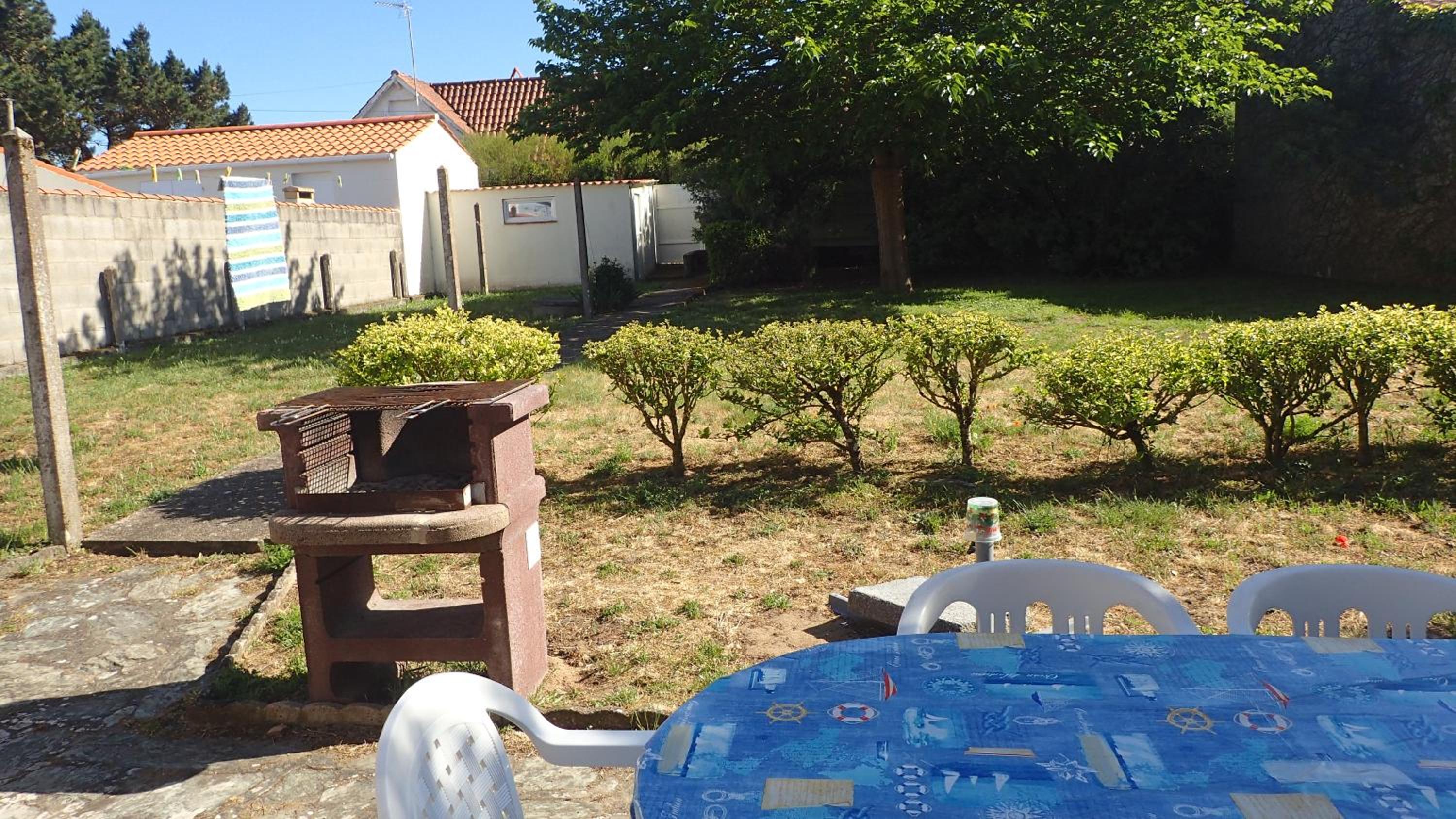 Photo 7