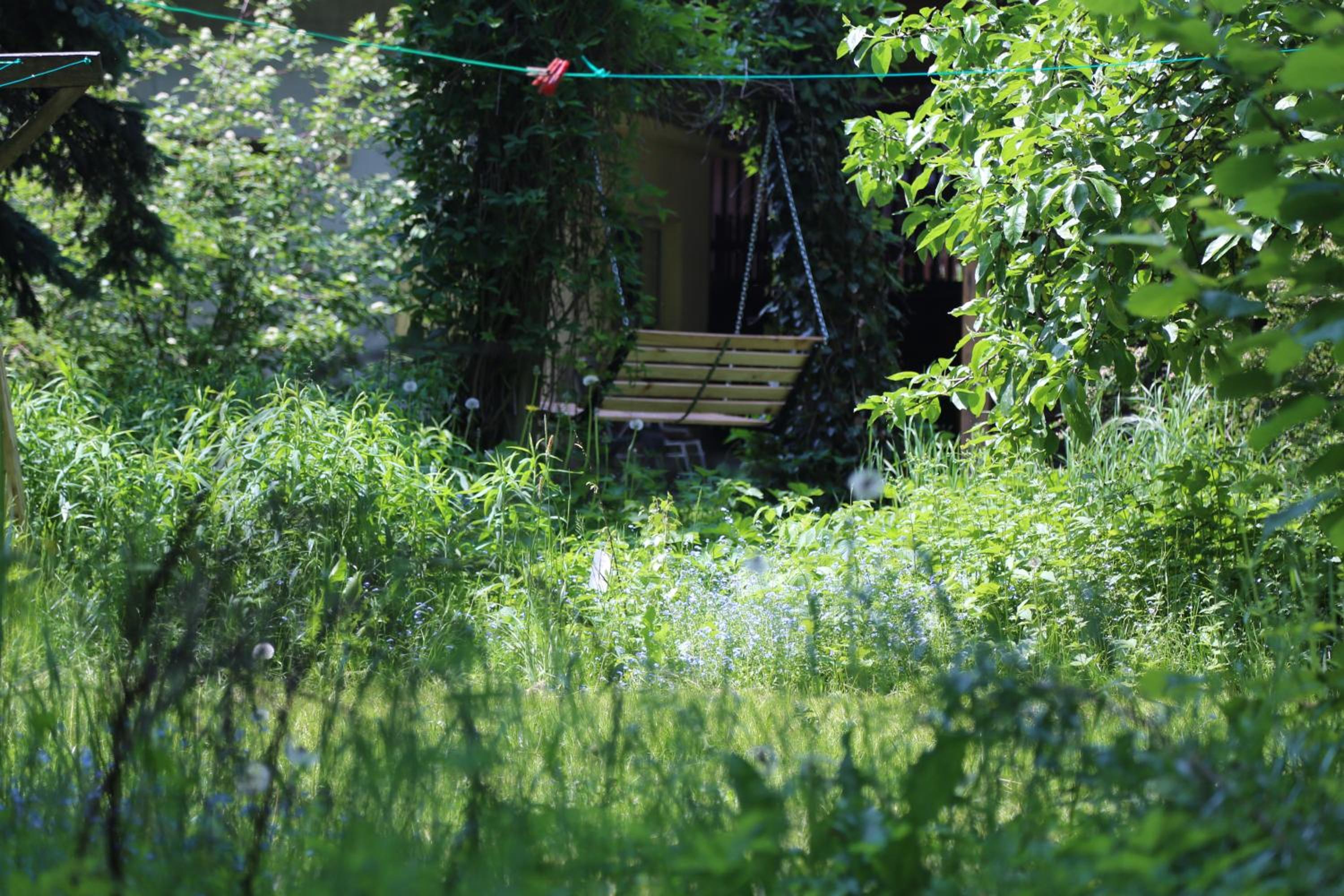 Gospodarstwo Agroturystyczne Stary Młyn Wilczkowice view 5