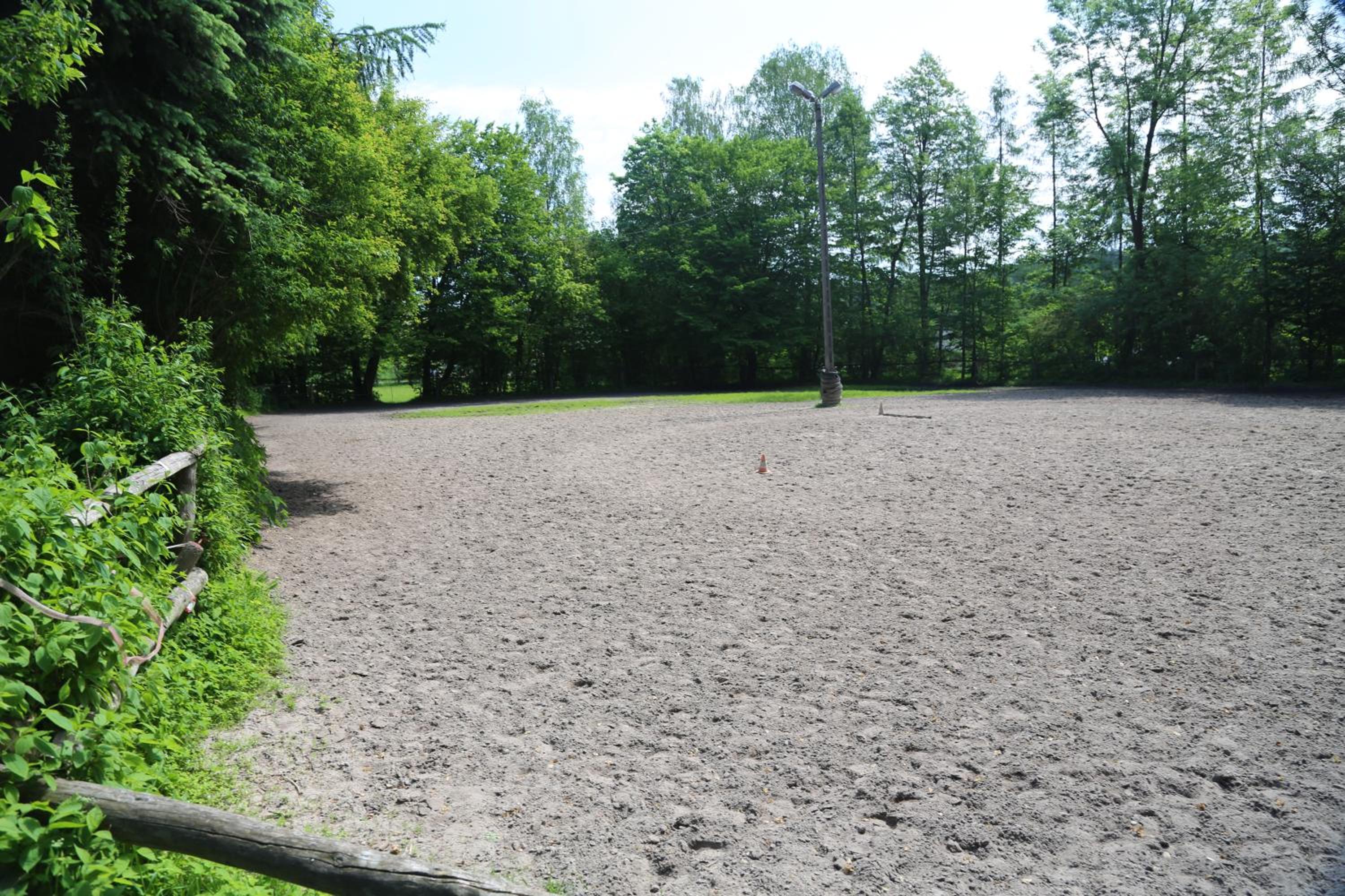 Photo 10