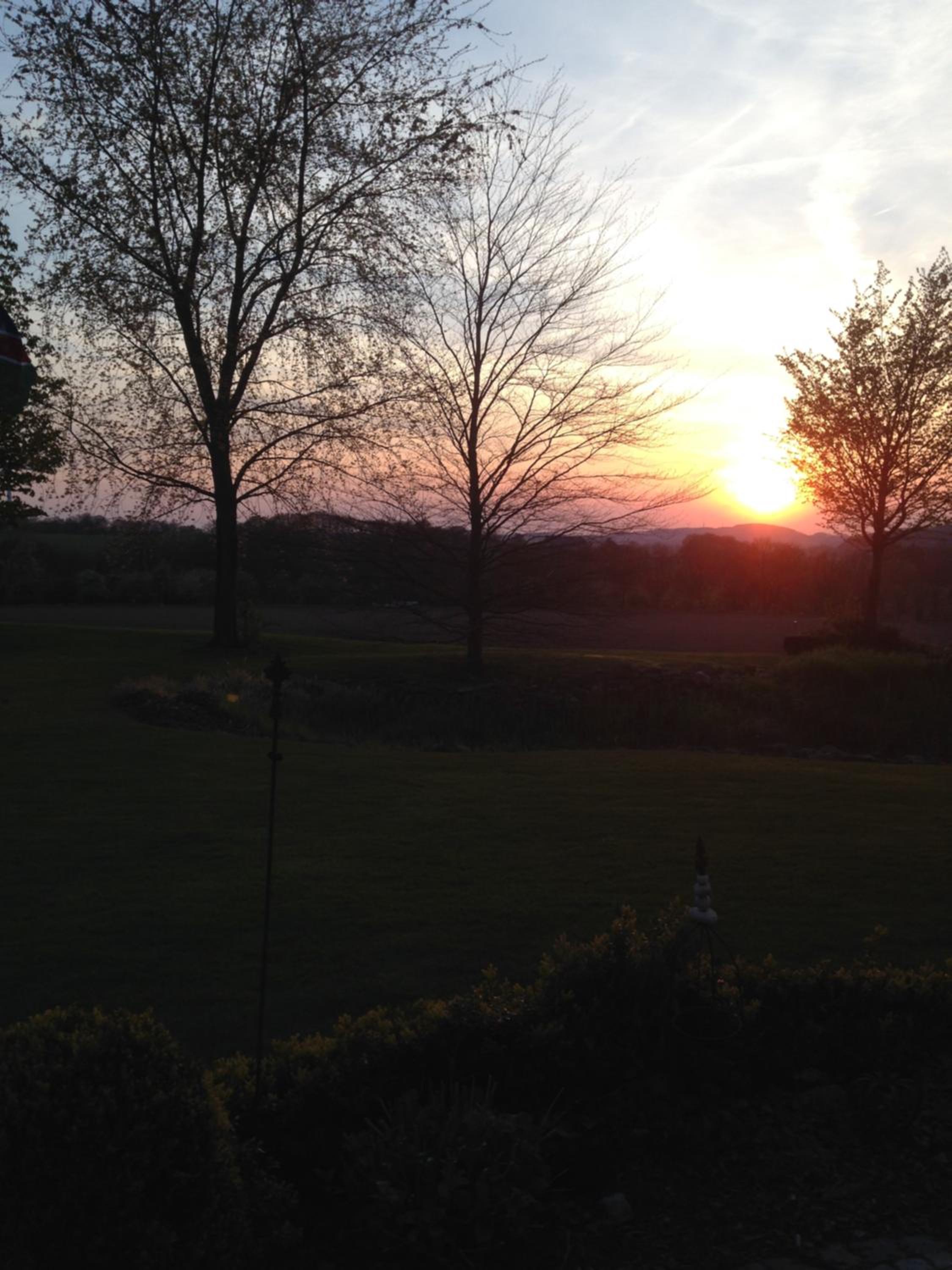 Ruheparadies Im Windfeld