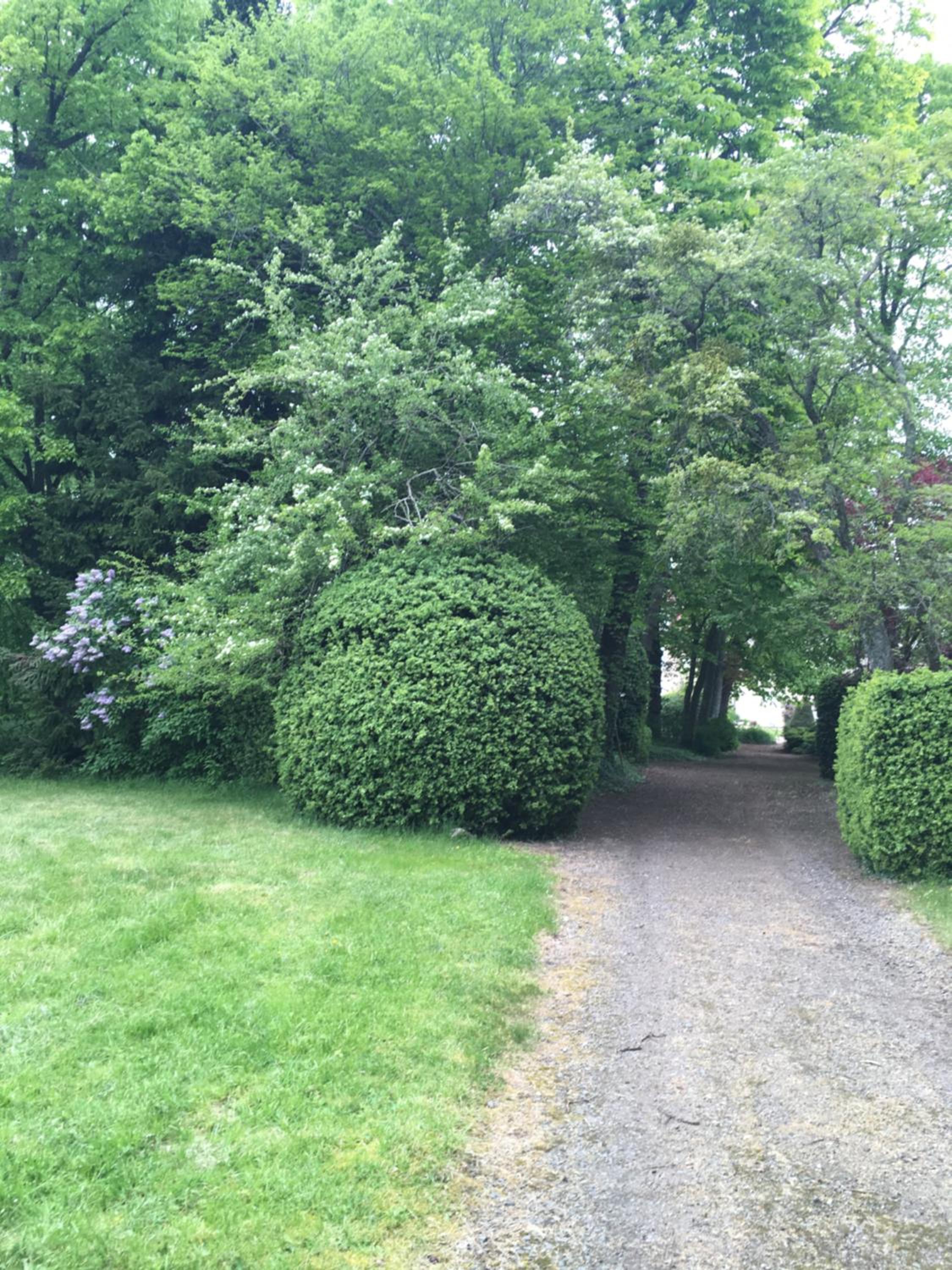 Photo 24