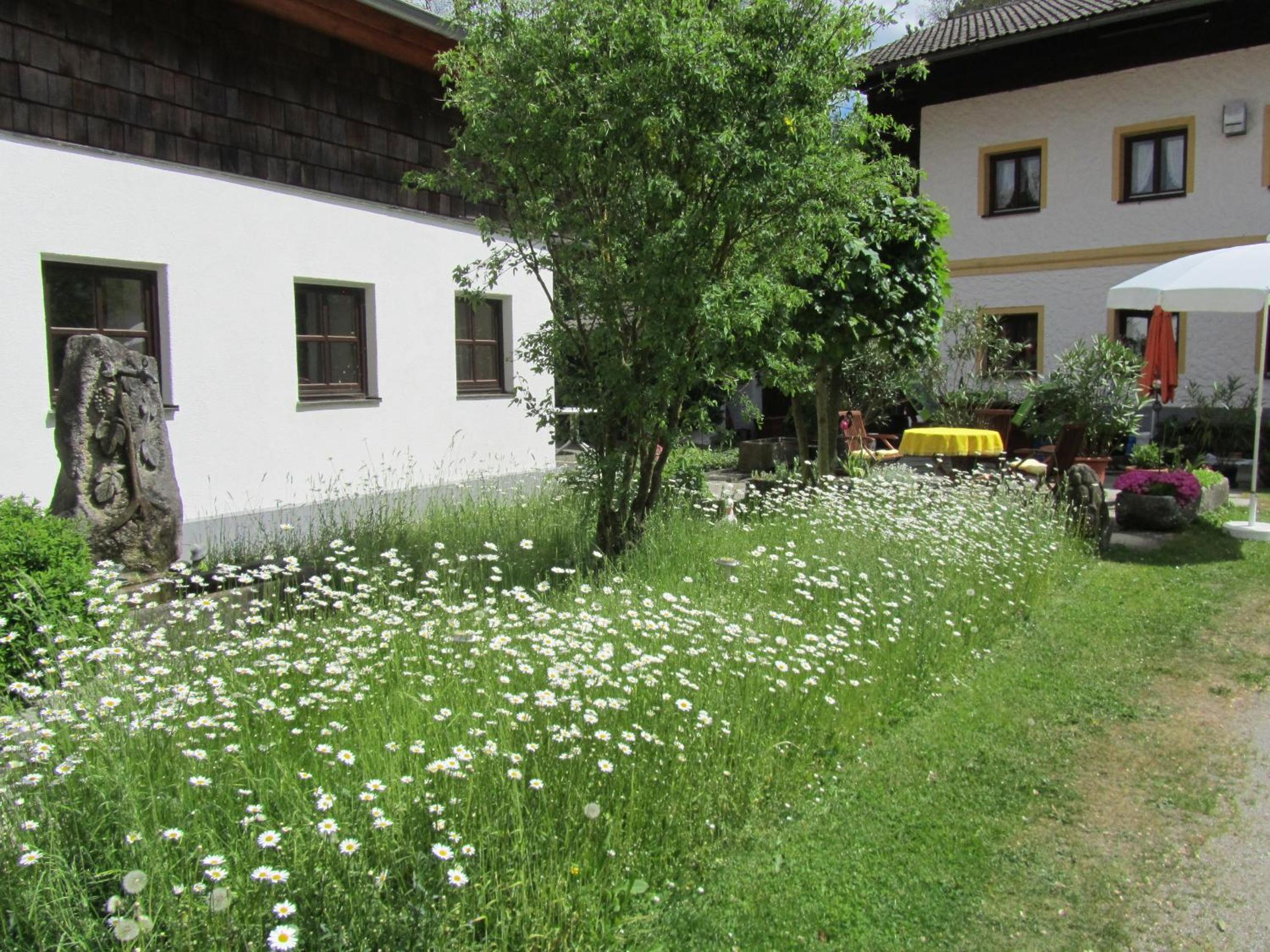 Ferienhaus Zopfhäusl