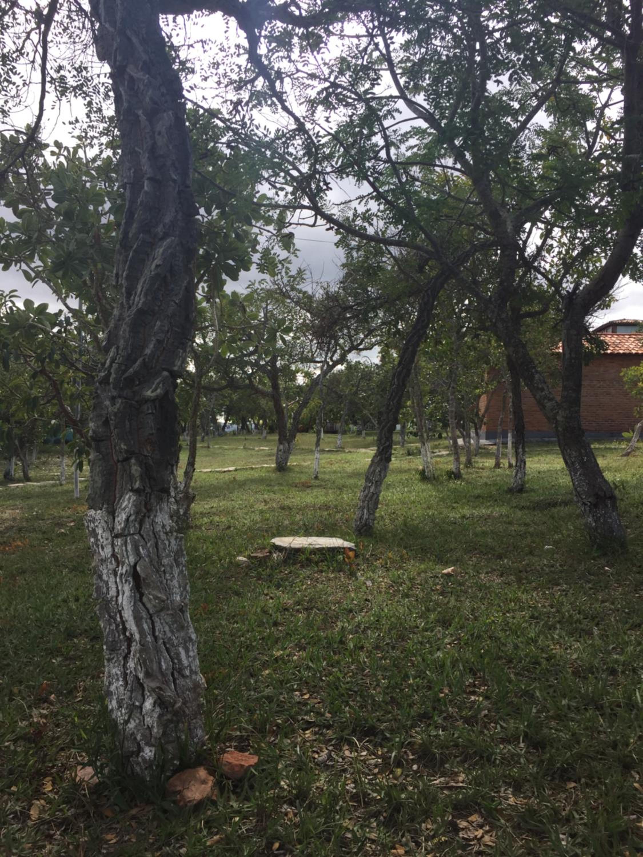 Photo 26