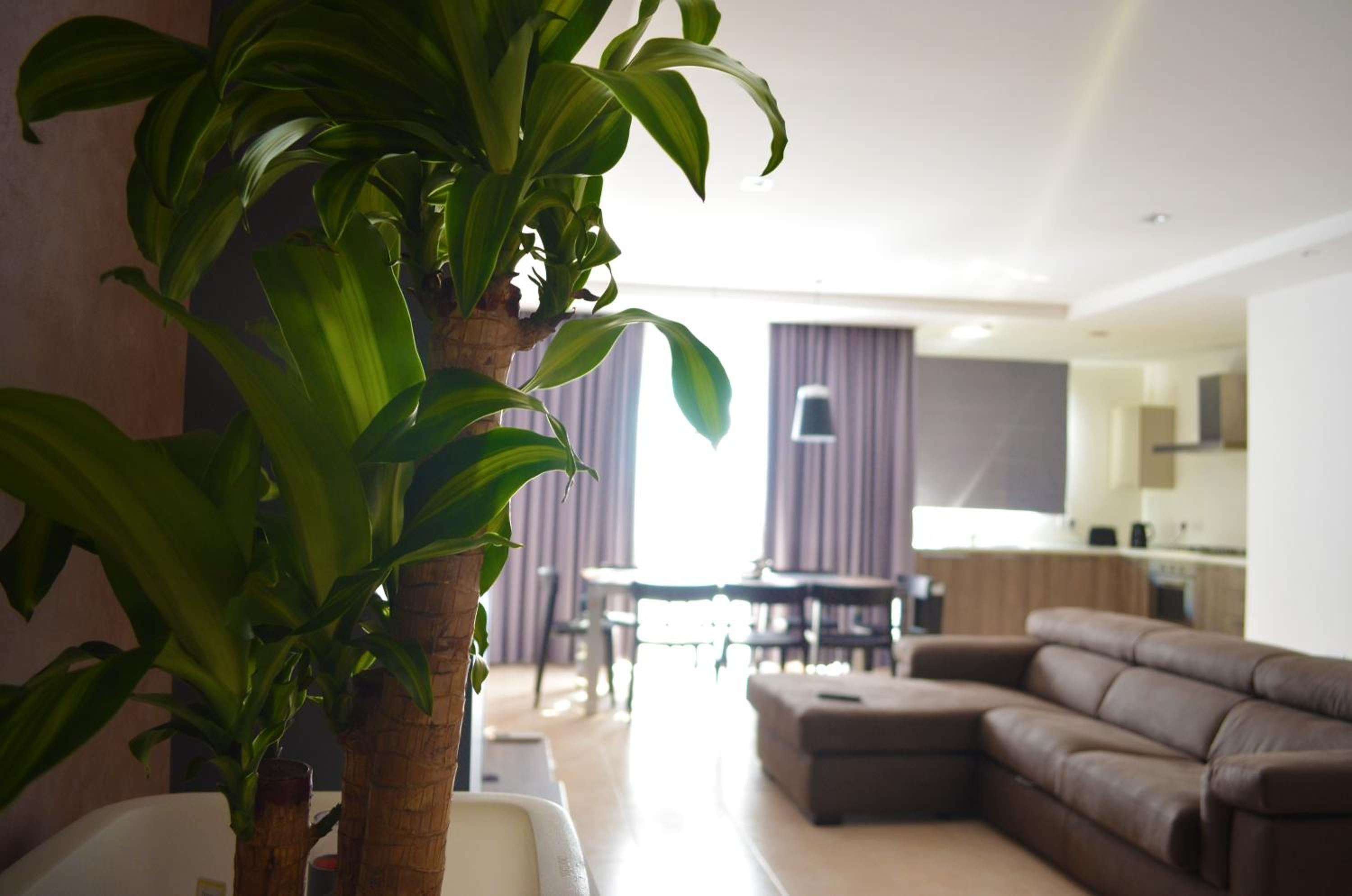 Hepburn Holiday Apartment view 5