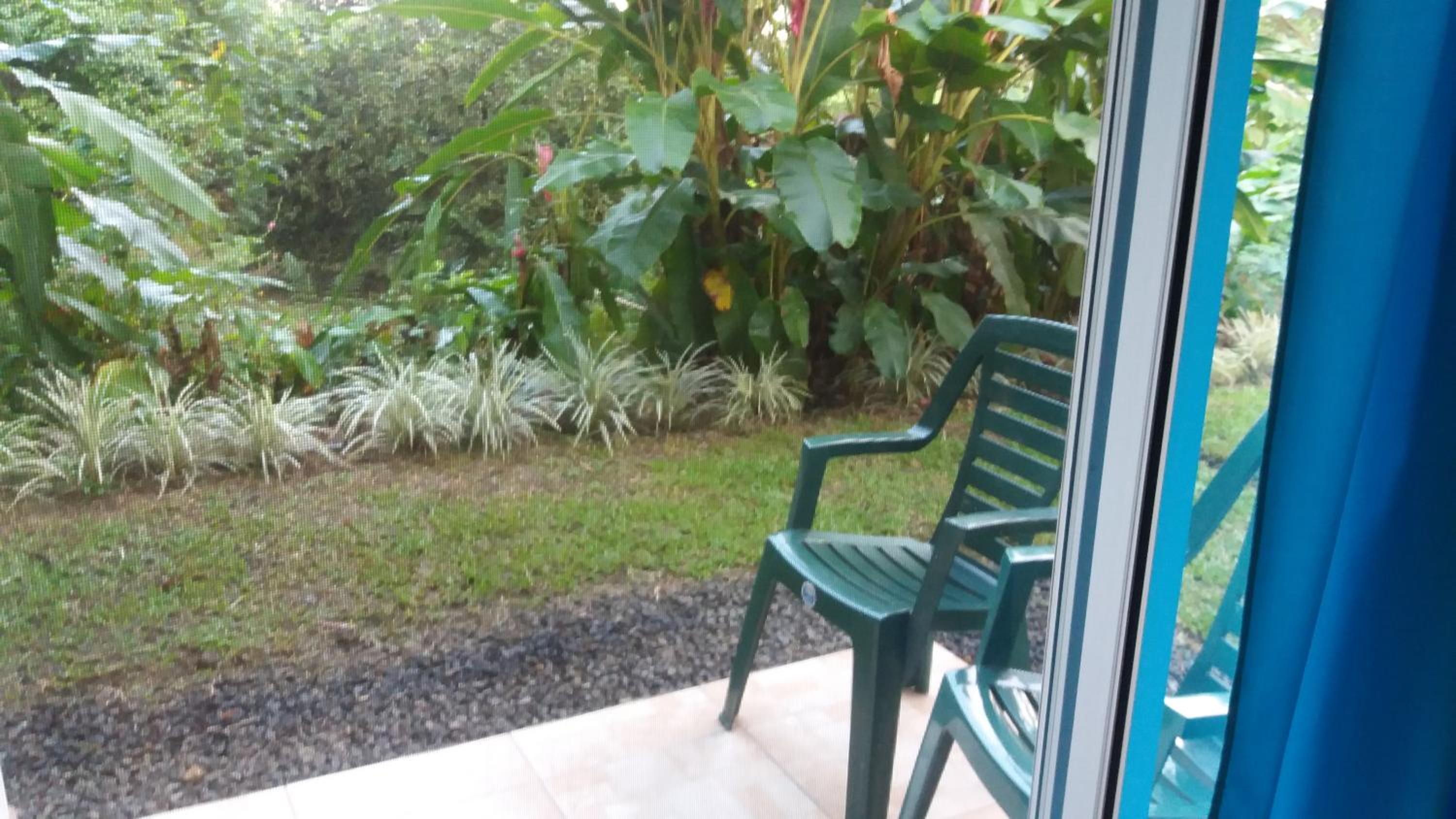 Tropical Paradise Bungalows