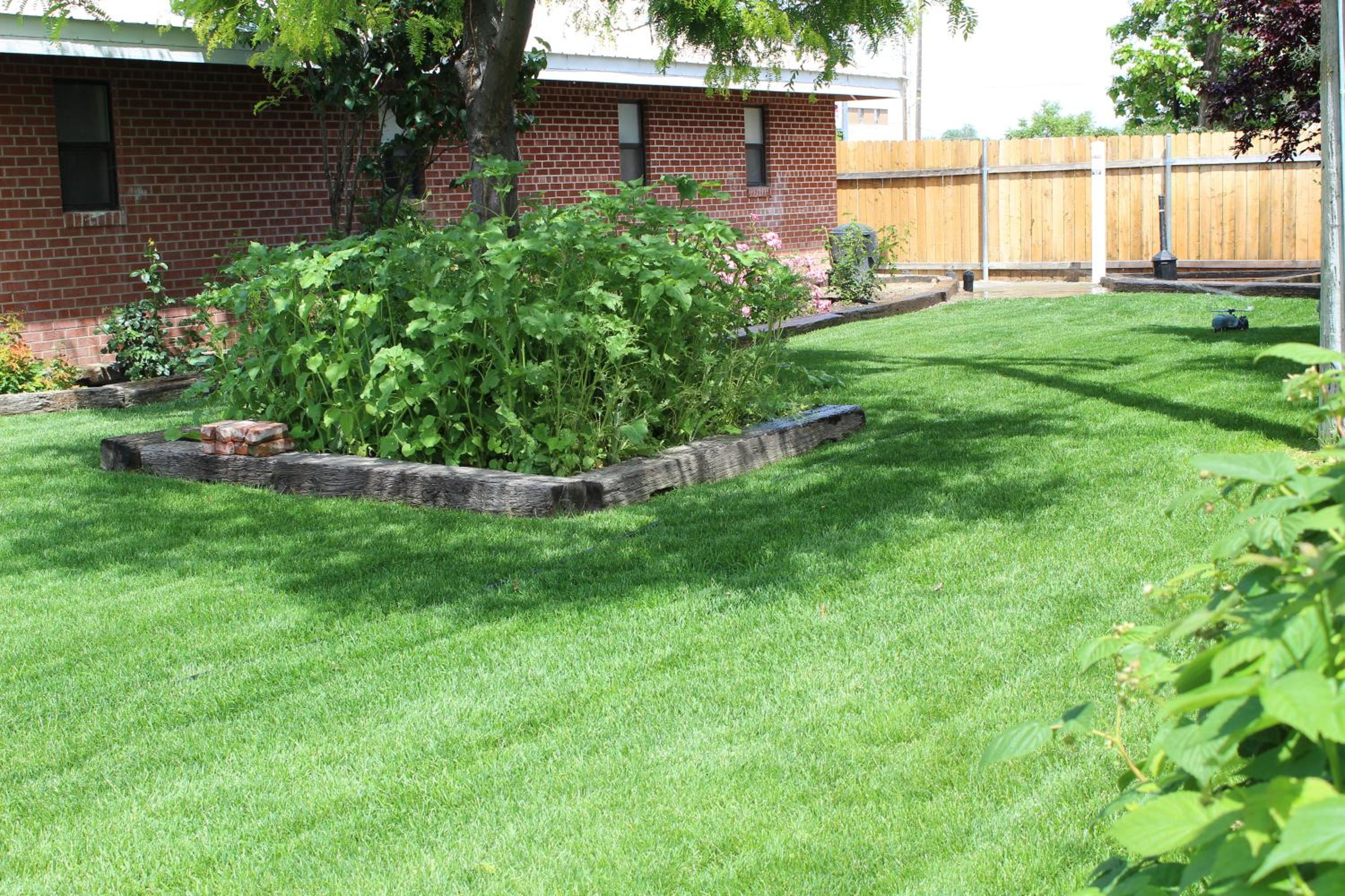 Photo 40