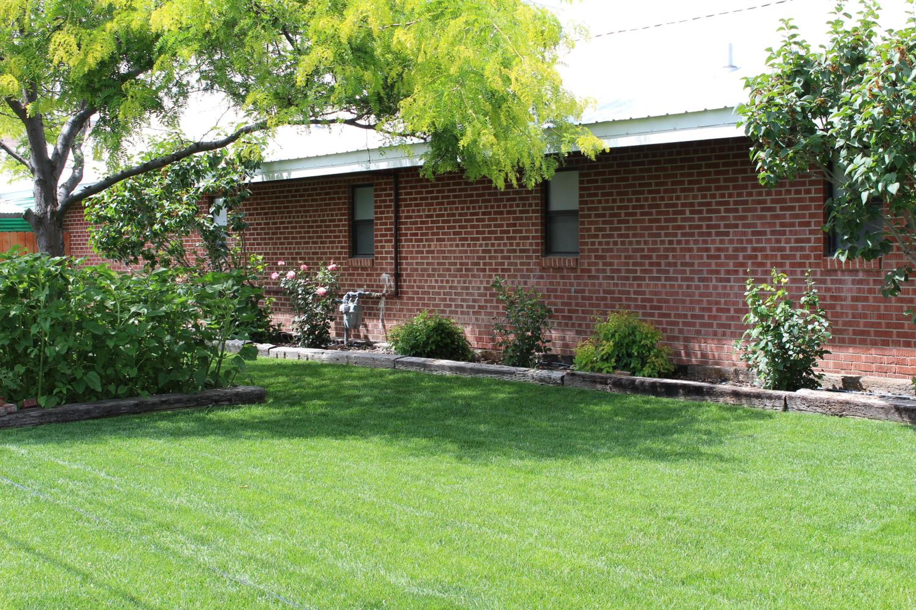 Photo 42